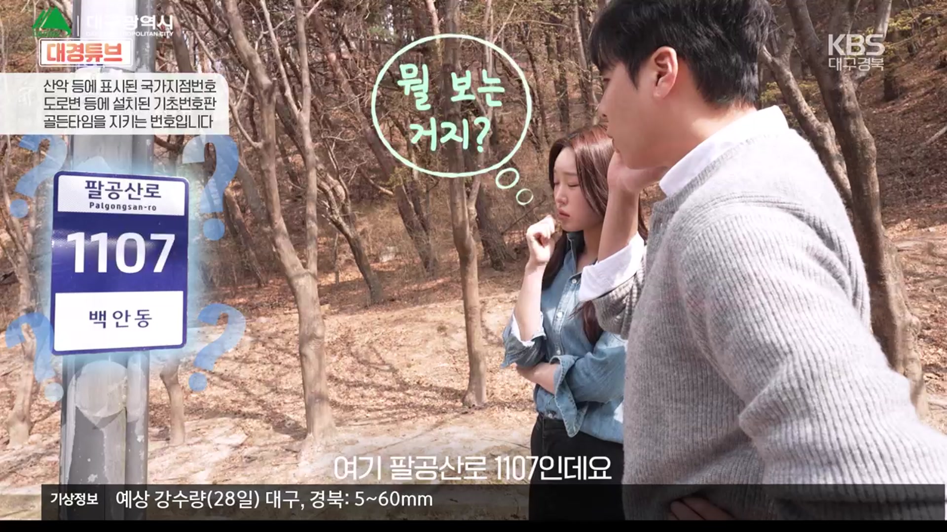 [대경튜브] ‘국가지점번호’ 골든타임을 지킵니다 외