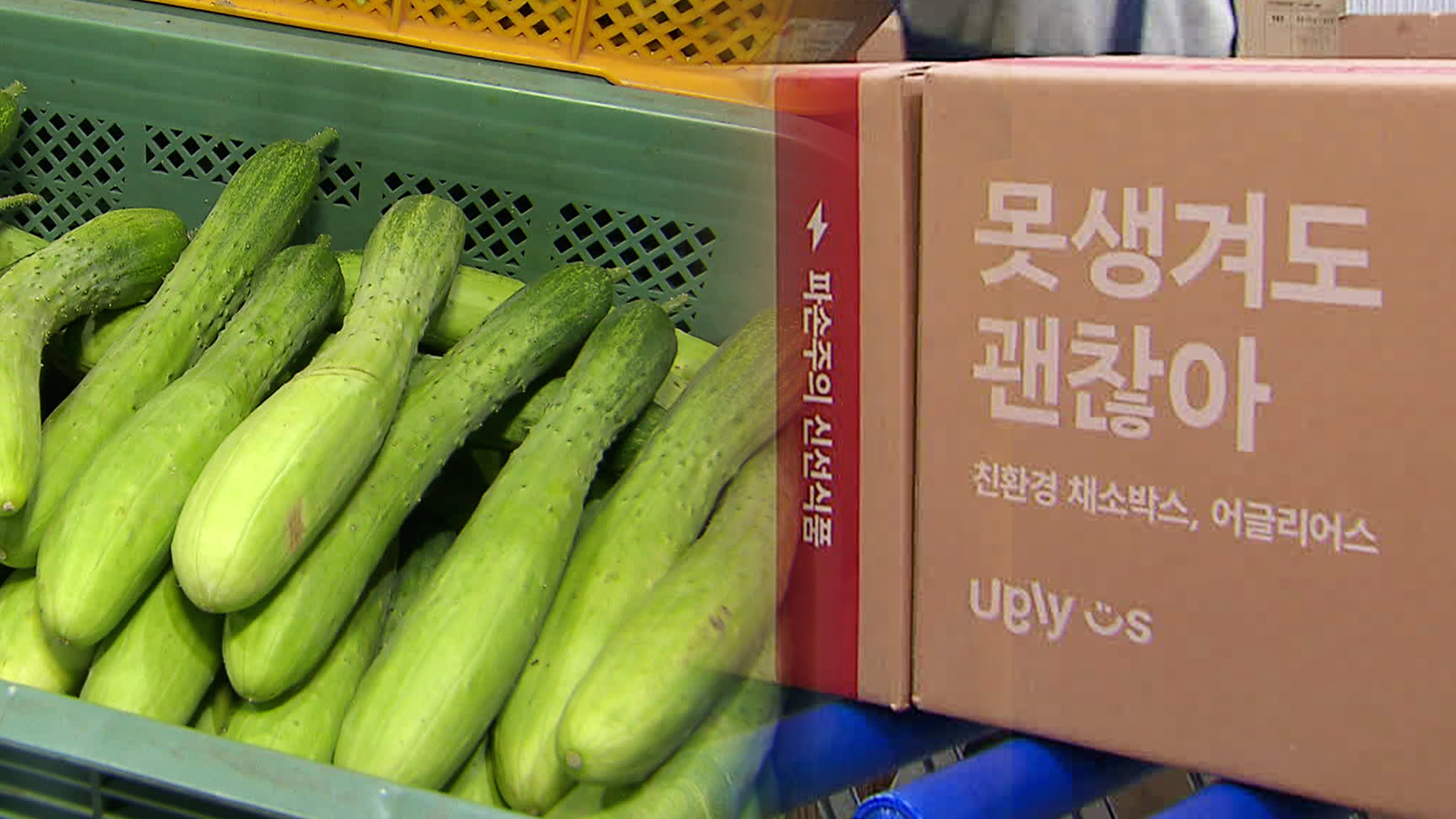 “‘남은 음식’ 반값에” 구매 열풍…가치 소비로도 확장