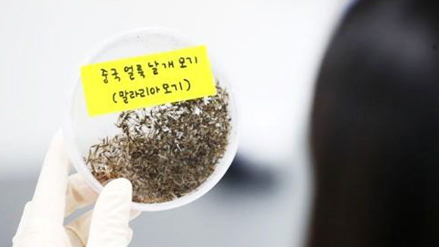 경기도, 파주 이어 고양·연천에 ‘말라리아 경보’ 발령