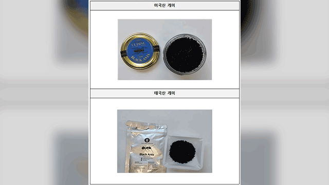 “산미 내려고”…식품에 못 쓰는 ‘개미’ 사용 음식점 적발