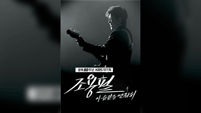 조용필, 광복 80주년 KBS 특집쇼 선다…28년만 단독 공연