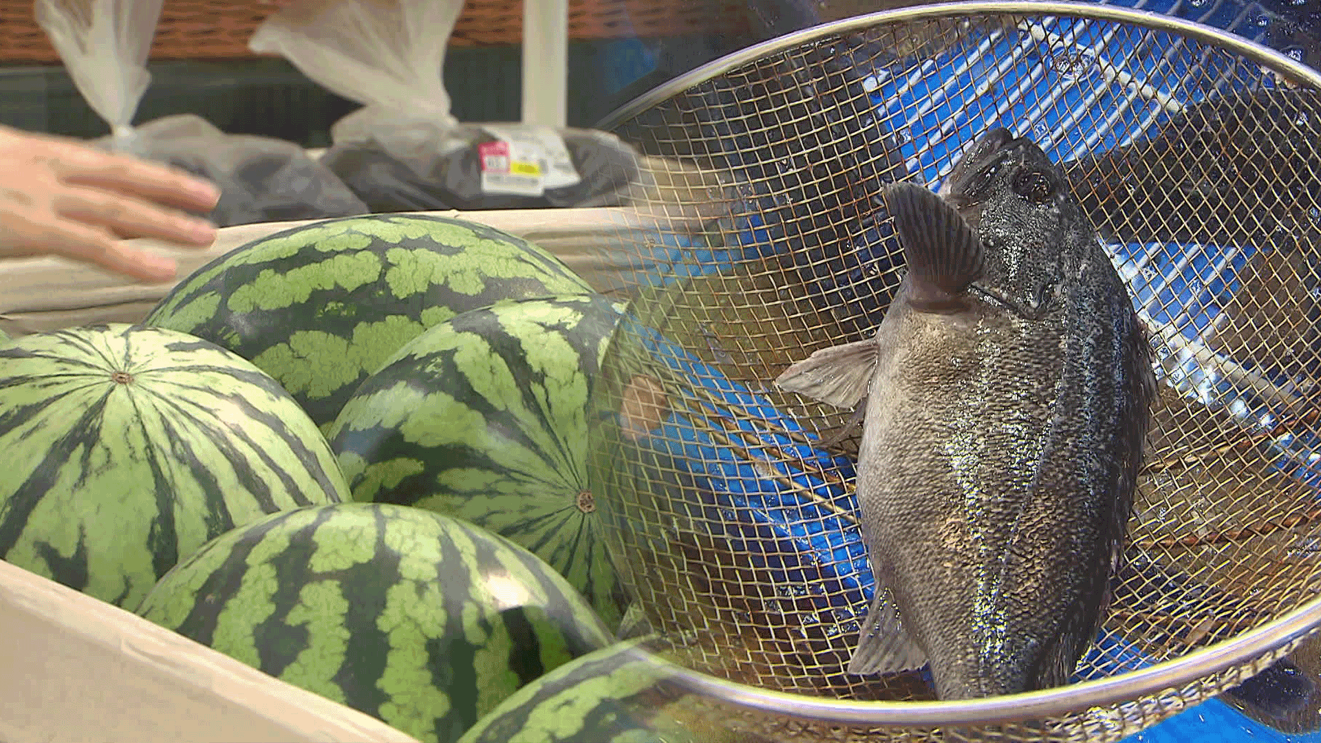 Heatwave drives food prices up