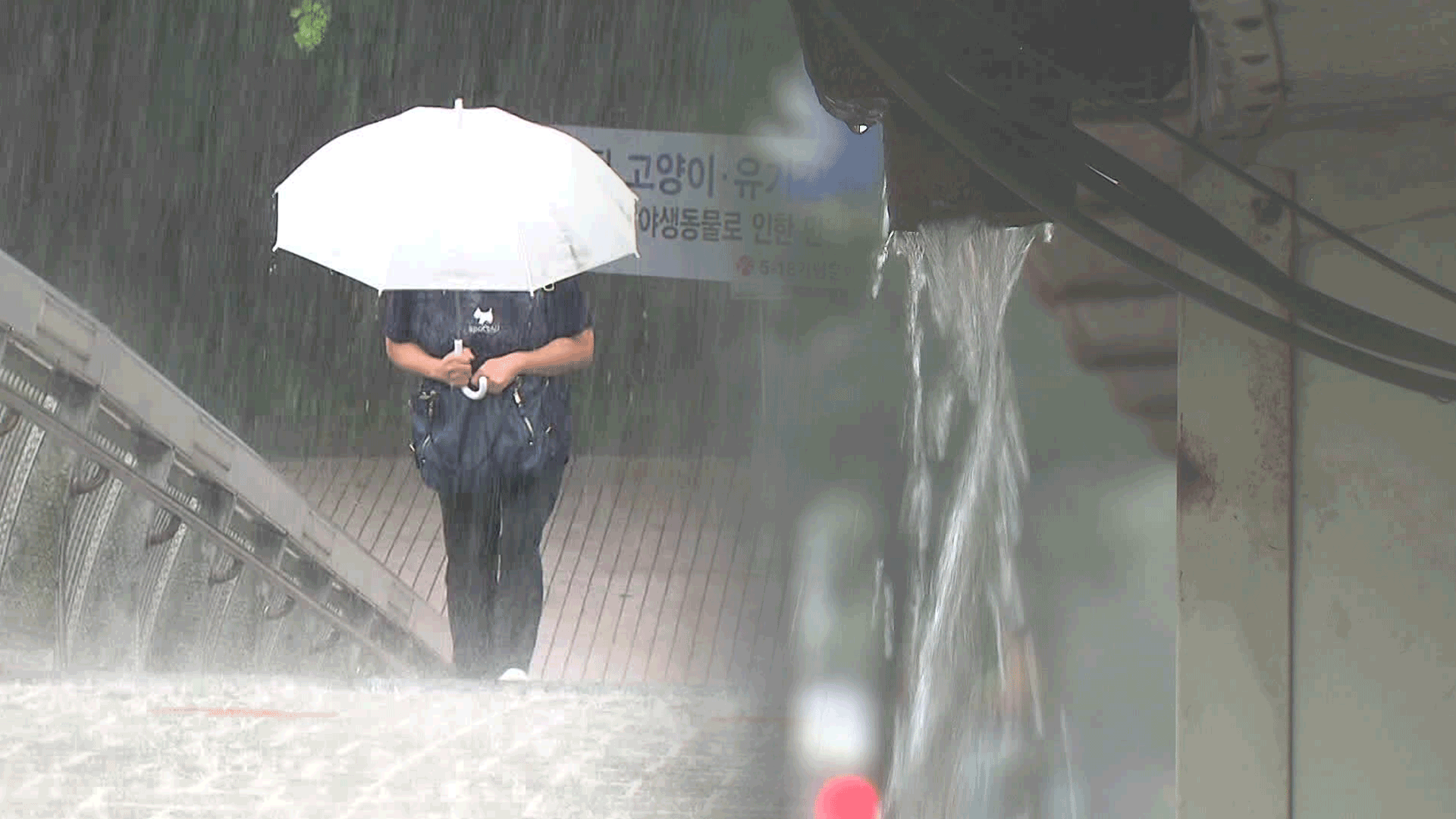 중부지방 본격 장맛비…17일까지 최대 200mm 예보