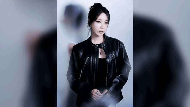 보아, 다음 달 콘서트 취소…“골괴사로 수술”