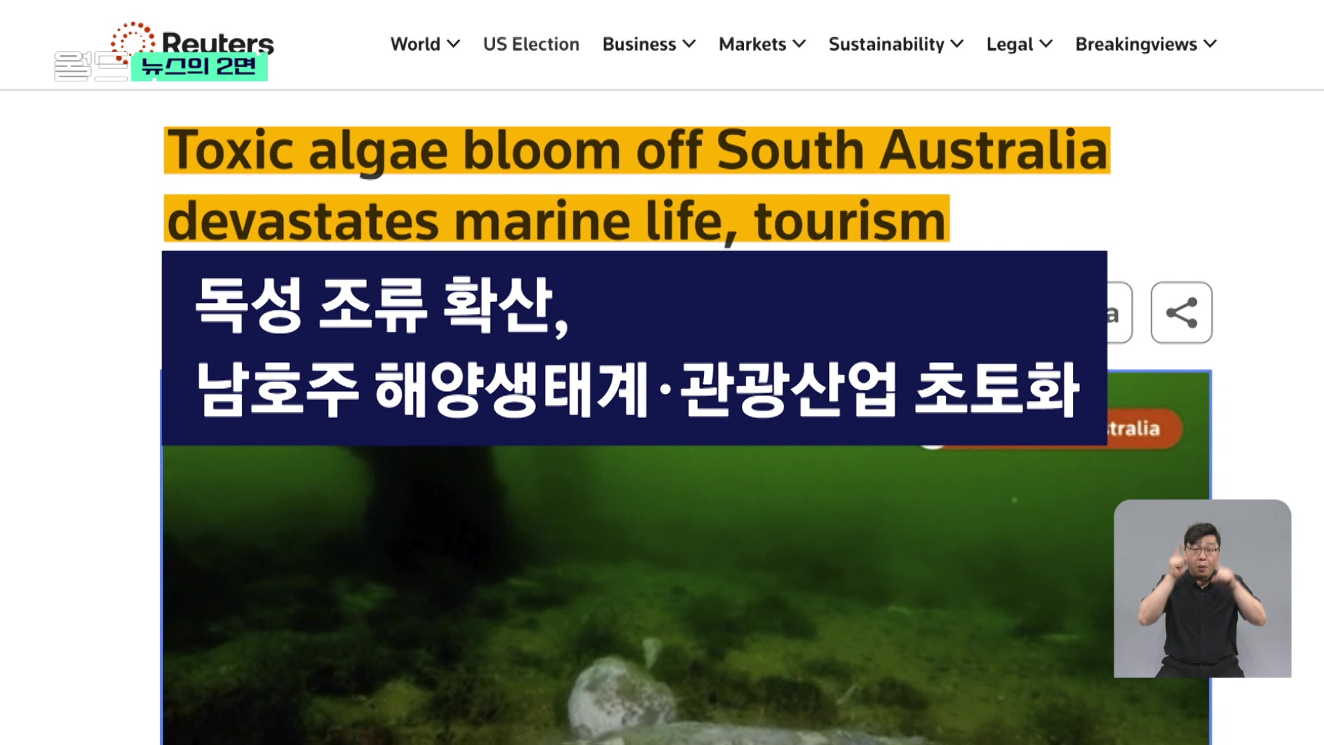[뉴스의 2면] 독성 조류 뒤덮은 남호주…생태계·관광산업 초토화