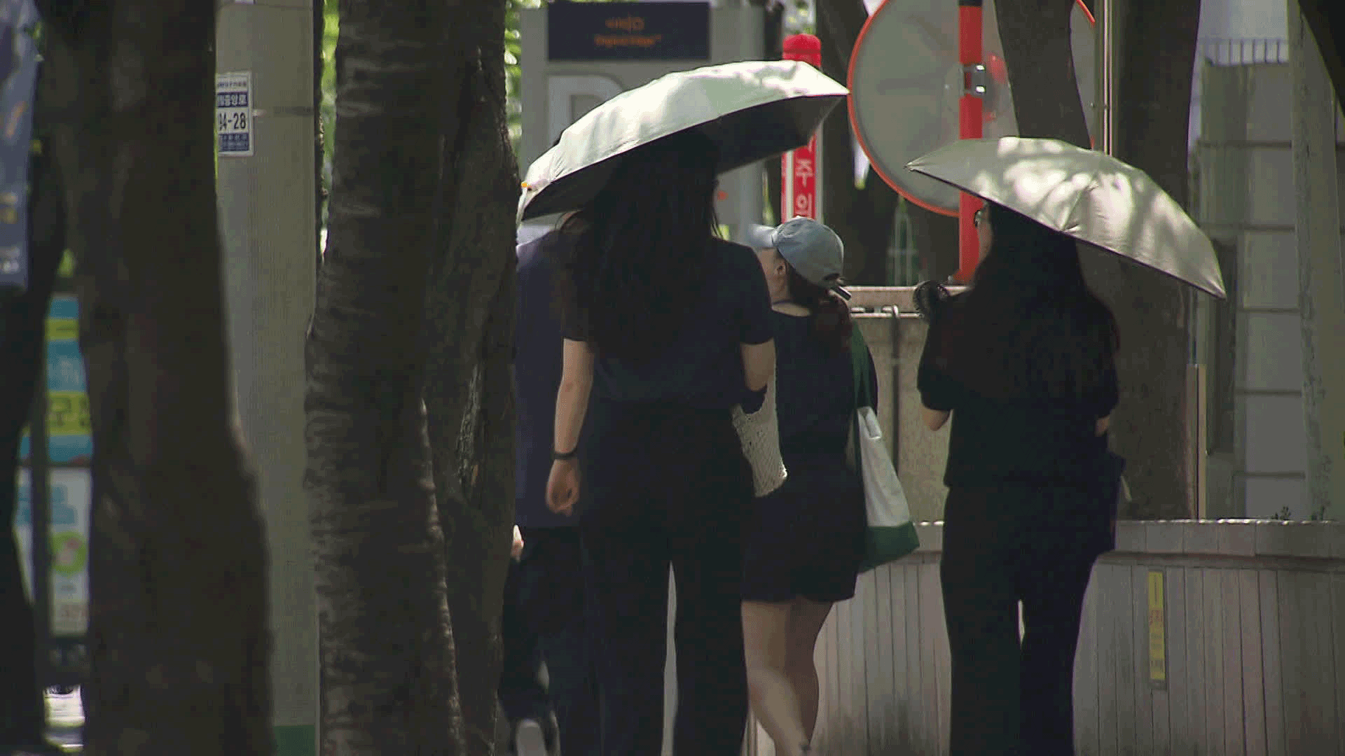 ‘무료 대여’ 양산 인기지만…절반은 안 돌아와