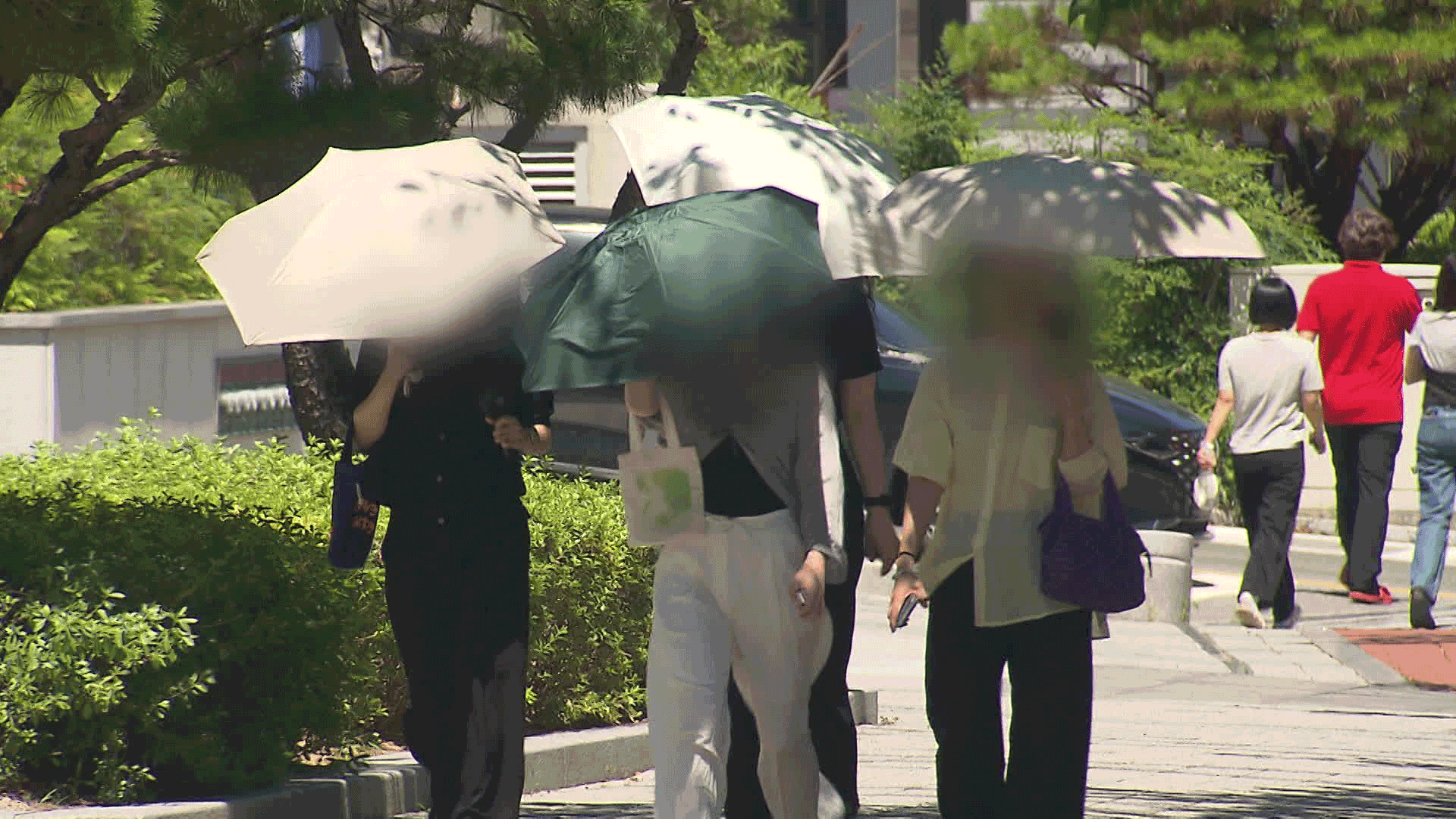 ‘무료 대여’ 양산 인기지만…절반은 안 돌아와