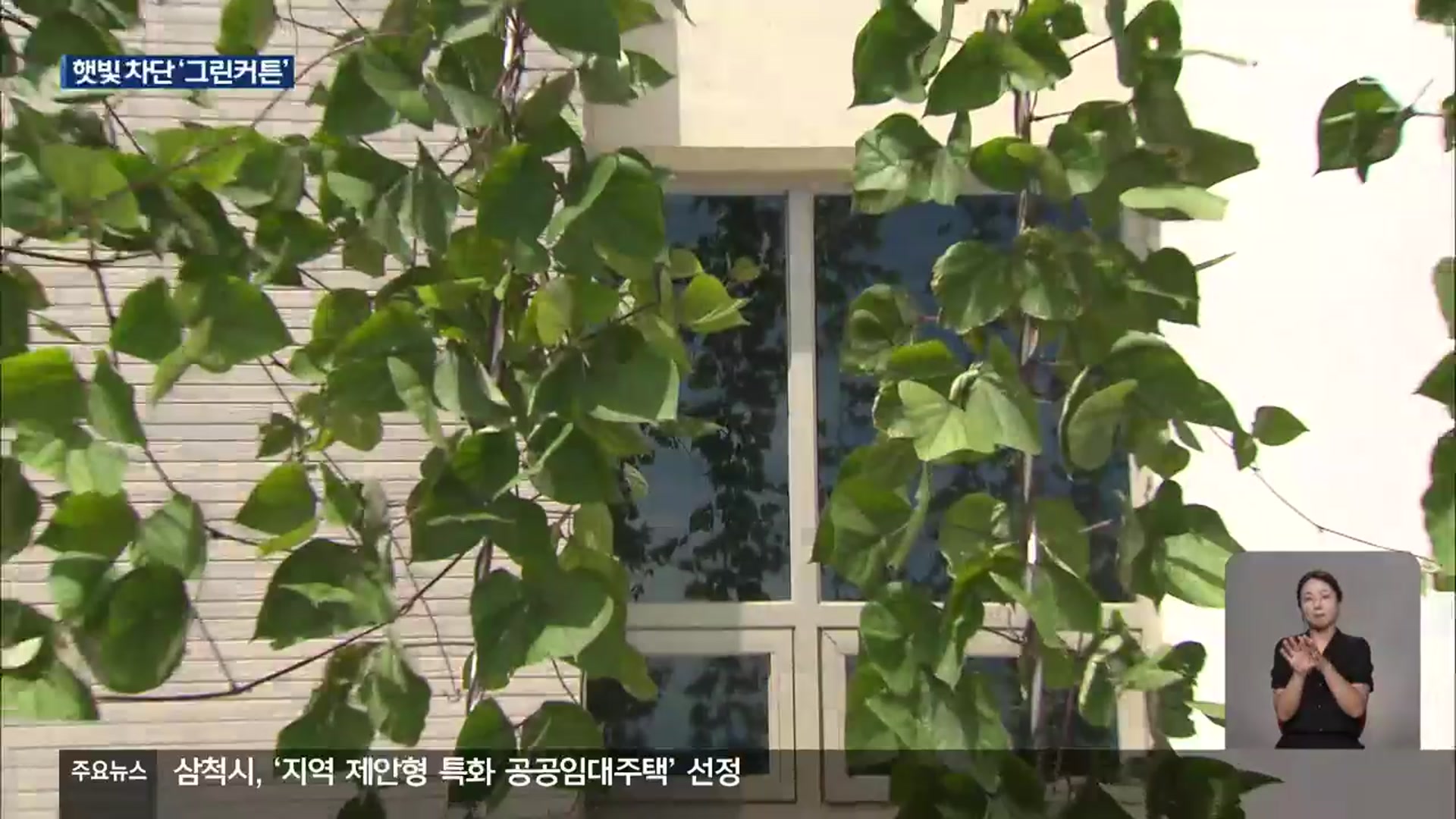 고성군, 덩굴식물로 태양광 차단 ‘그린 커튼’ 눈길