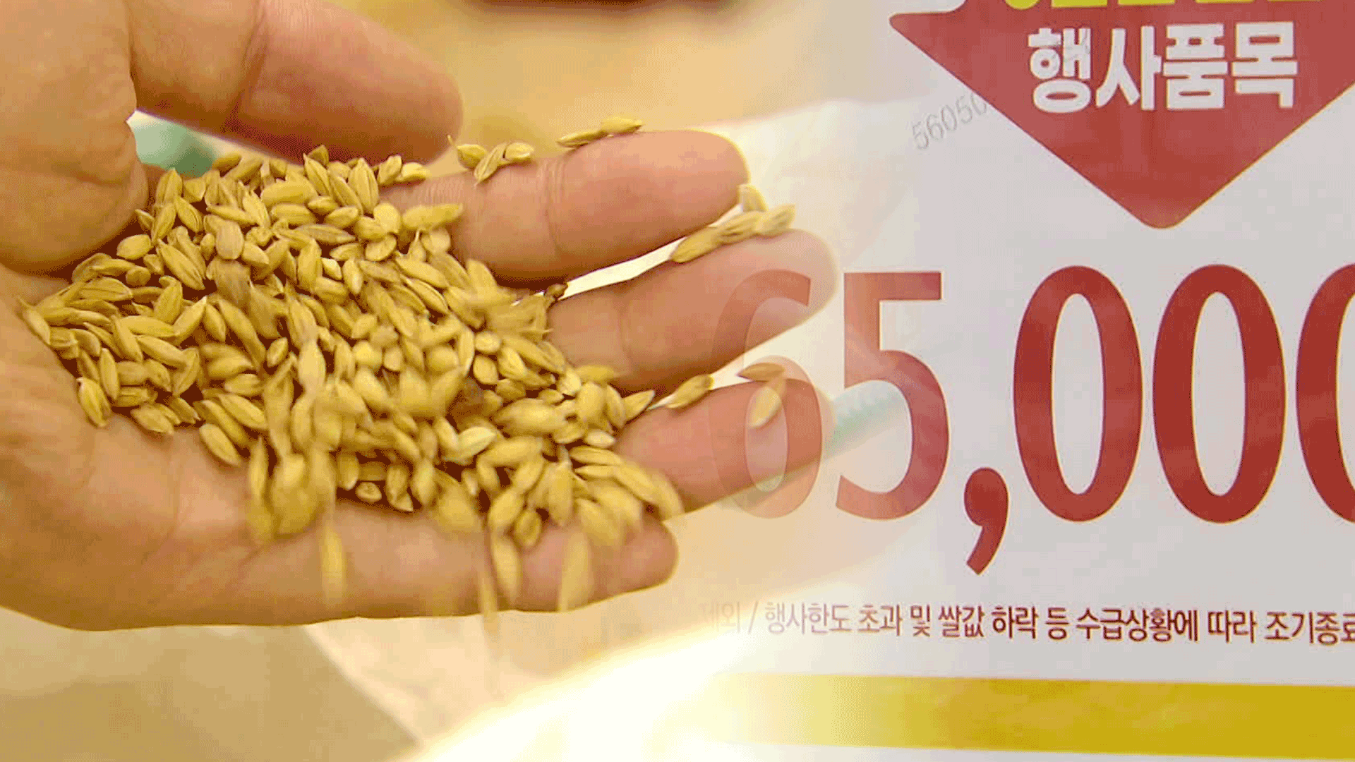 “쌀값 6만 원?” 급격한 상승에 사상 첫 “양곡 대여”