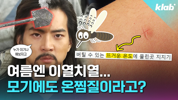[크랩] 모기 물렸을 때 ‘온찜질’이 효과 있다고요? 팩트체크 해봄