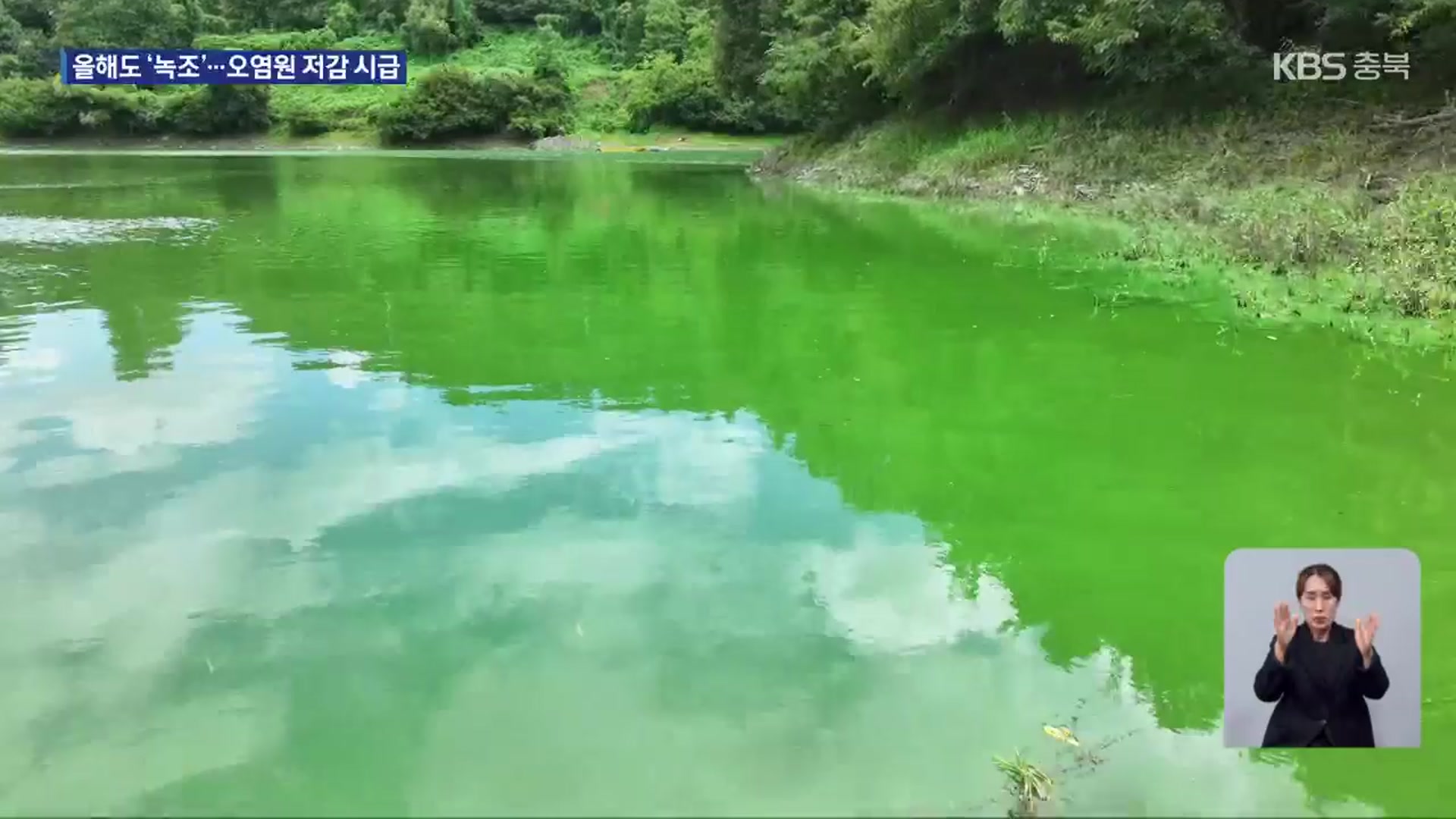 대청호 ‘녹조’ 10년째…근본 대책 시급