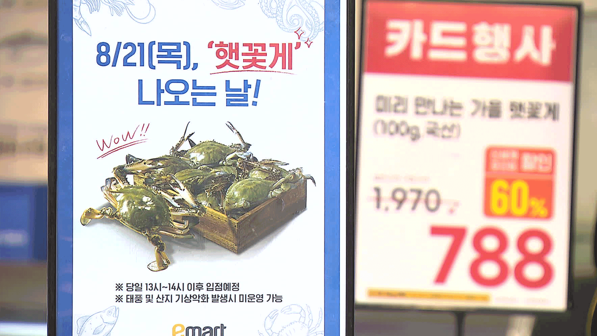 Fresh blue crabs hit market