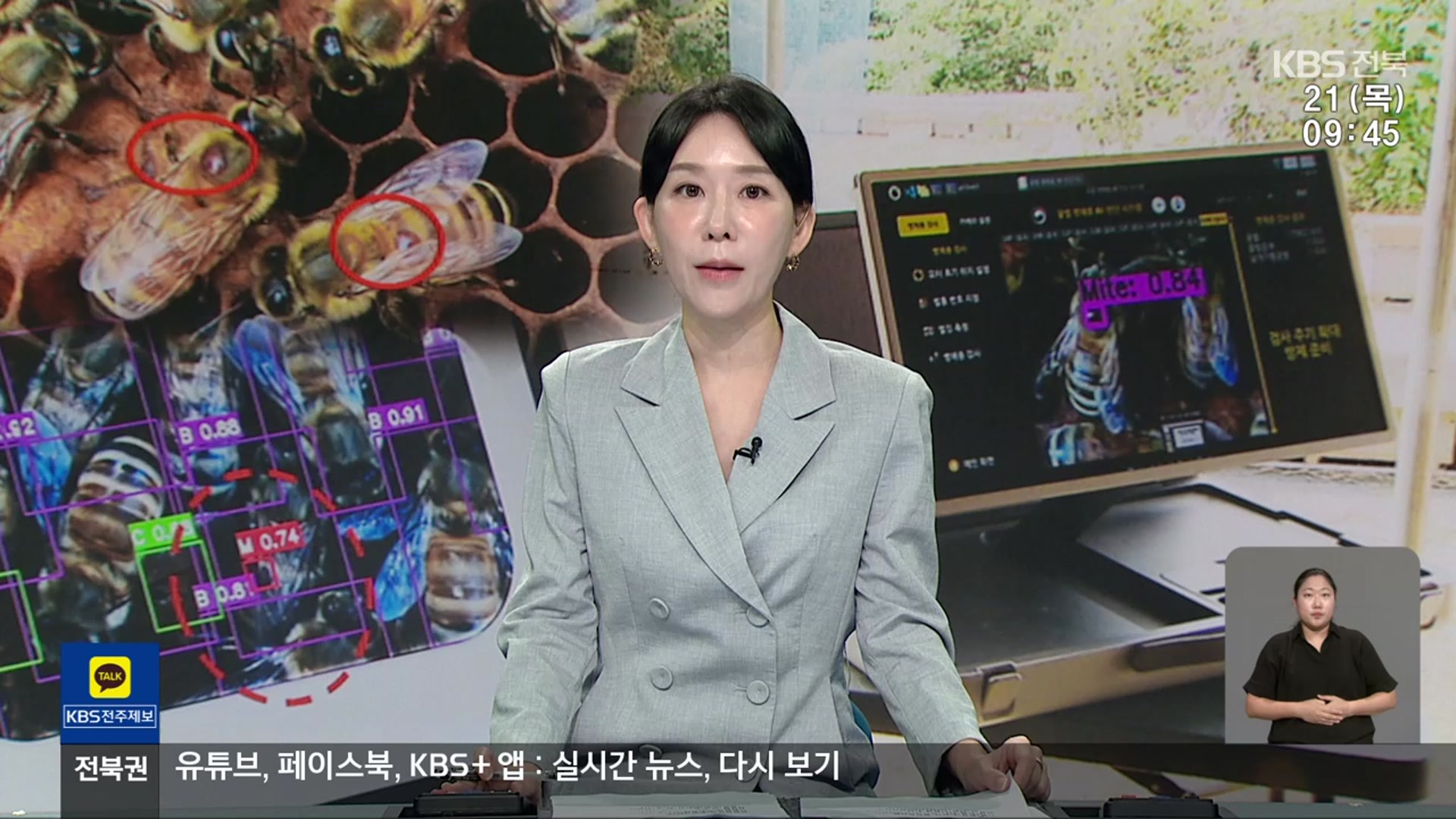 [930뉴스 전북 오프닝]
