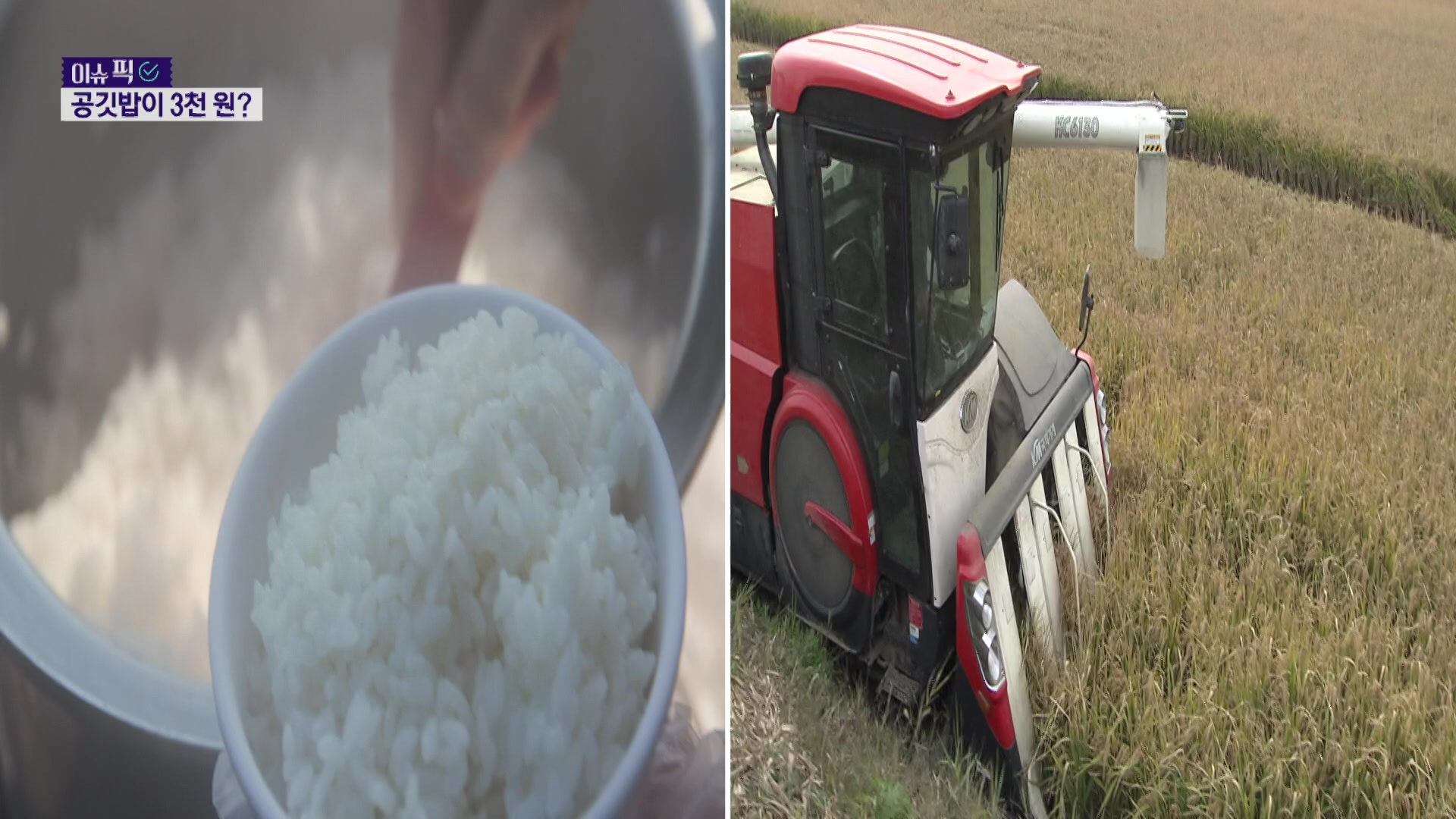 [이슈픽] 공깃밥 3천 원 시대 오나…쌀값 ‘폭탄’ 전망 나왔다