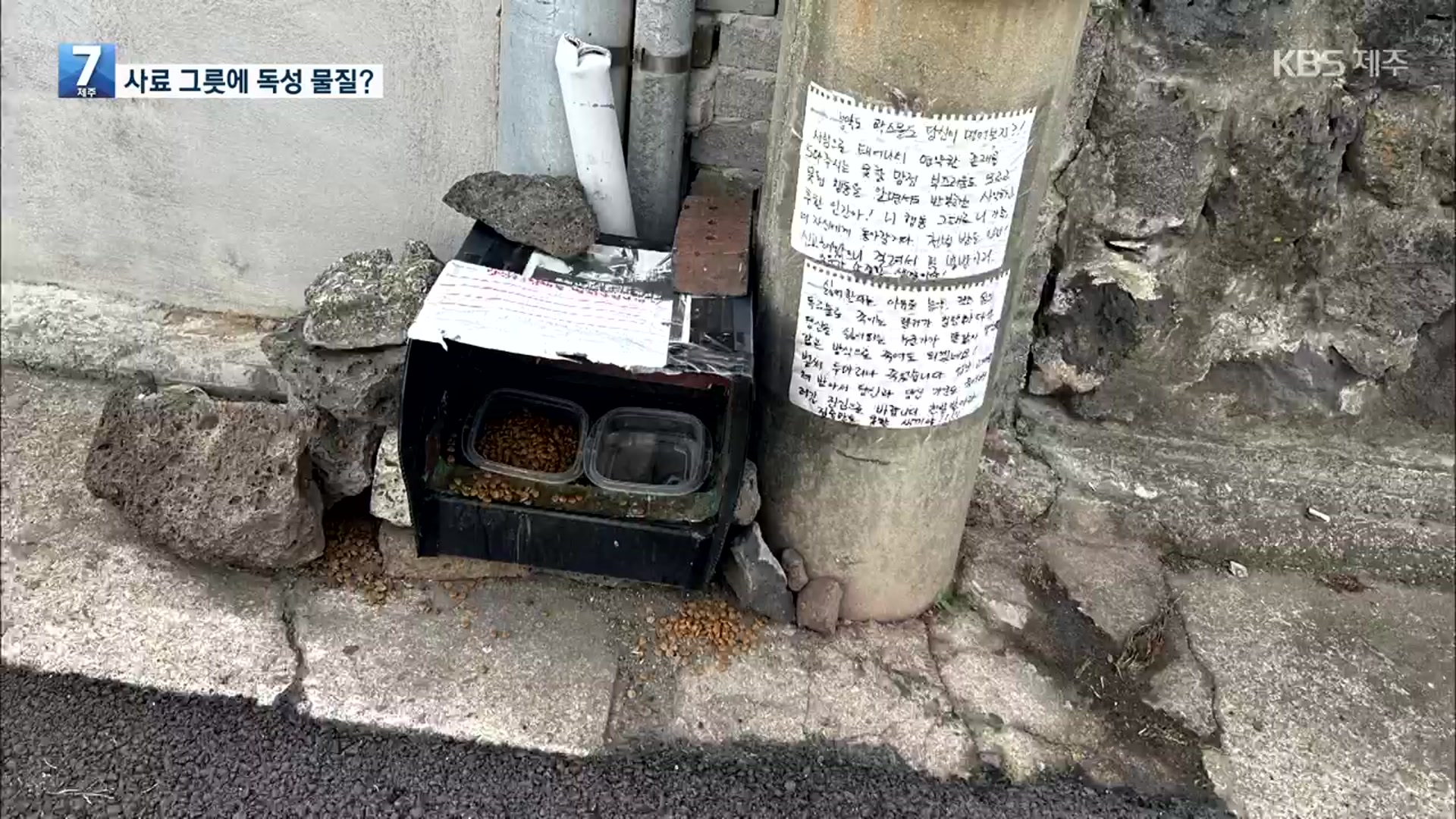 길고양이 급식통에 살충제 추정 물질…동물학대 혐의 수사