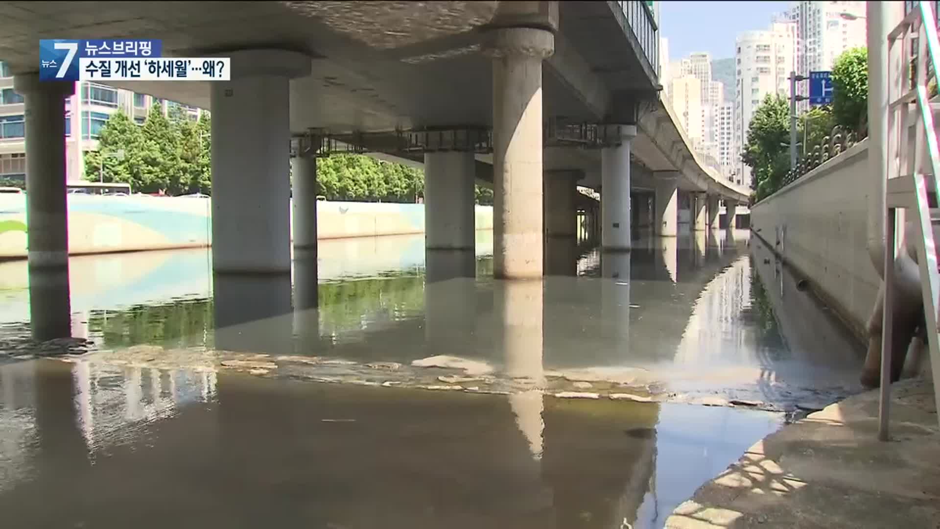 수백 억 쏟아붓고도 수질 개선 ‘하세월’…‘밑 빠진 독 물 붓기’