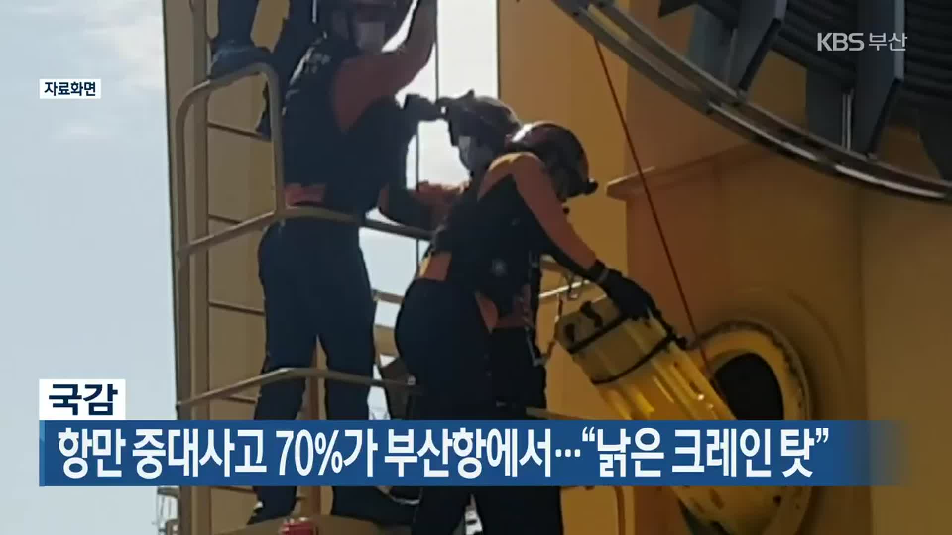 항만 중대사고 70%가 부산항에서…“낡은 크레인 탓”