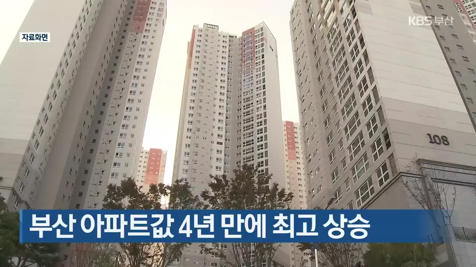 부산 아파트값 4년 만에 최고 상승