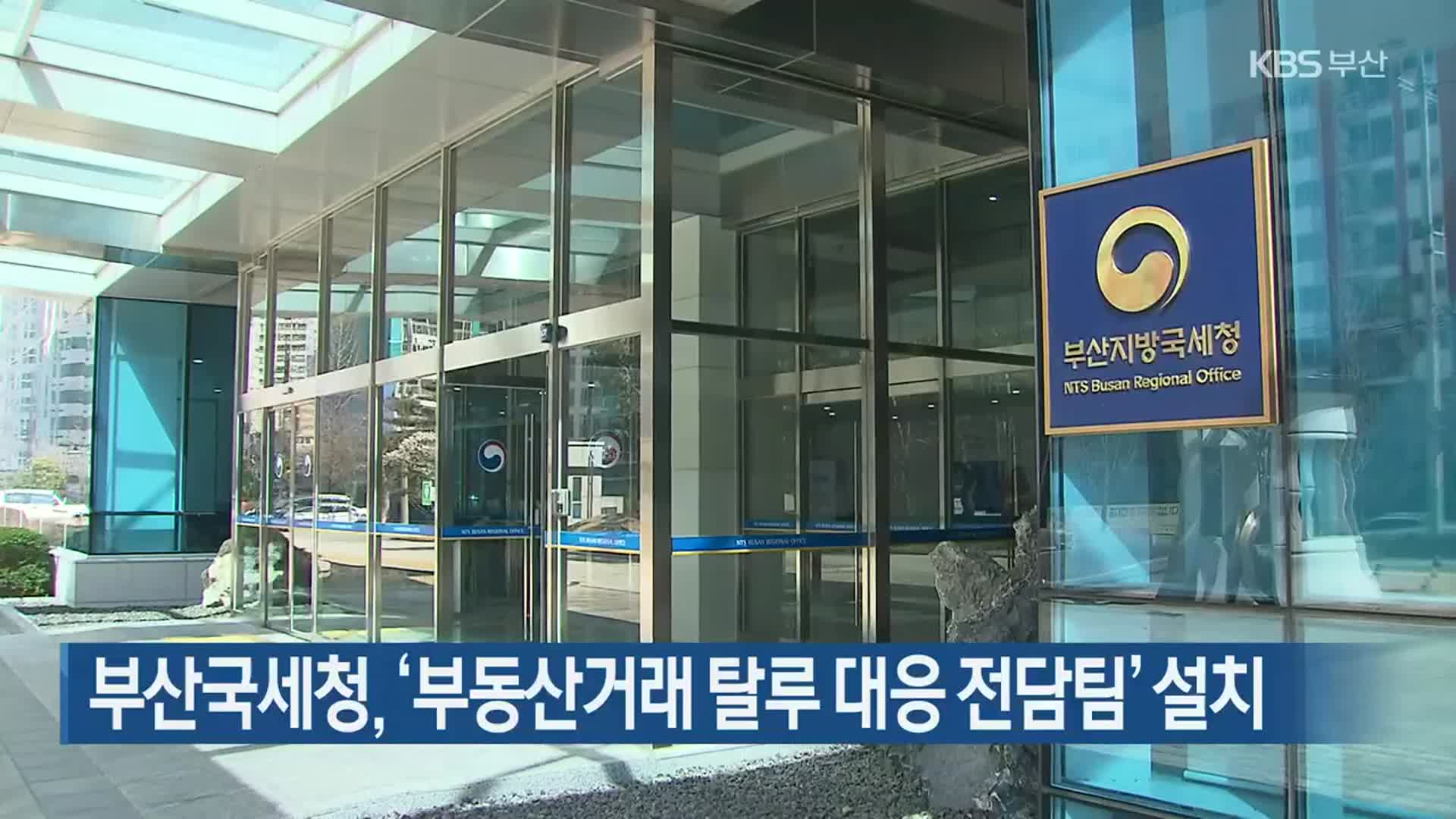 부산국세청, ‘부동산거래 탈루 대응 전담팀’ 설치