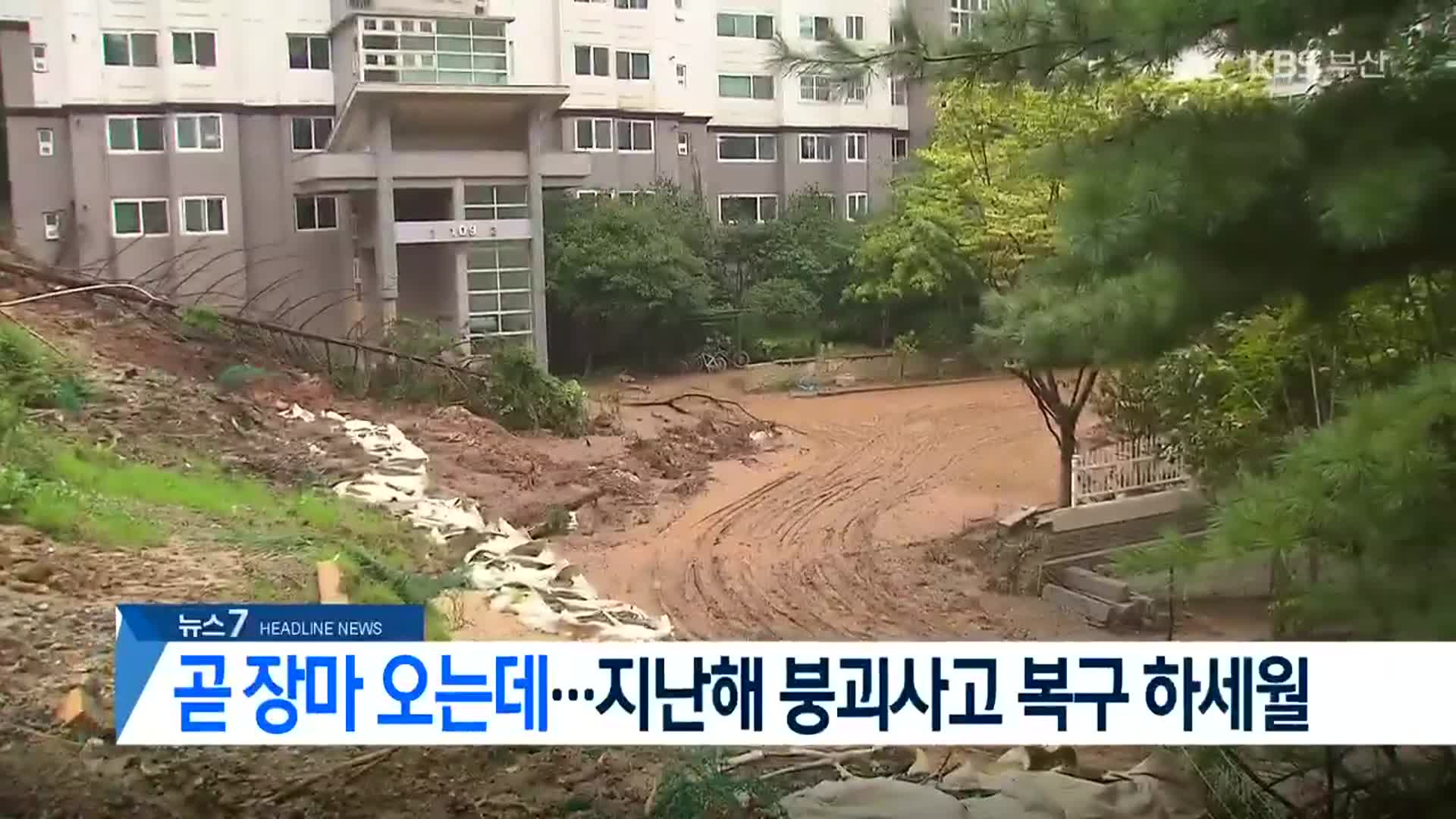[뉴스7 부산 헤드라인]