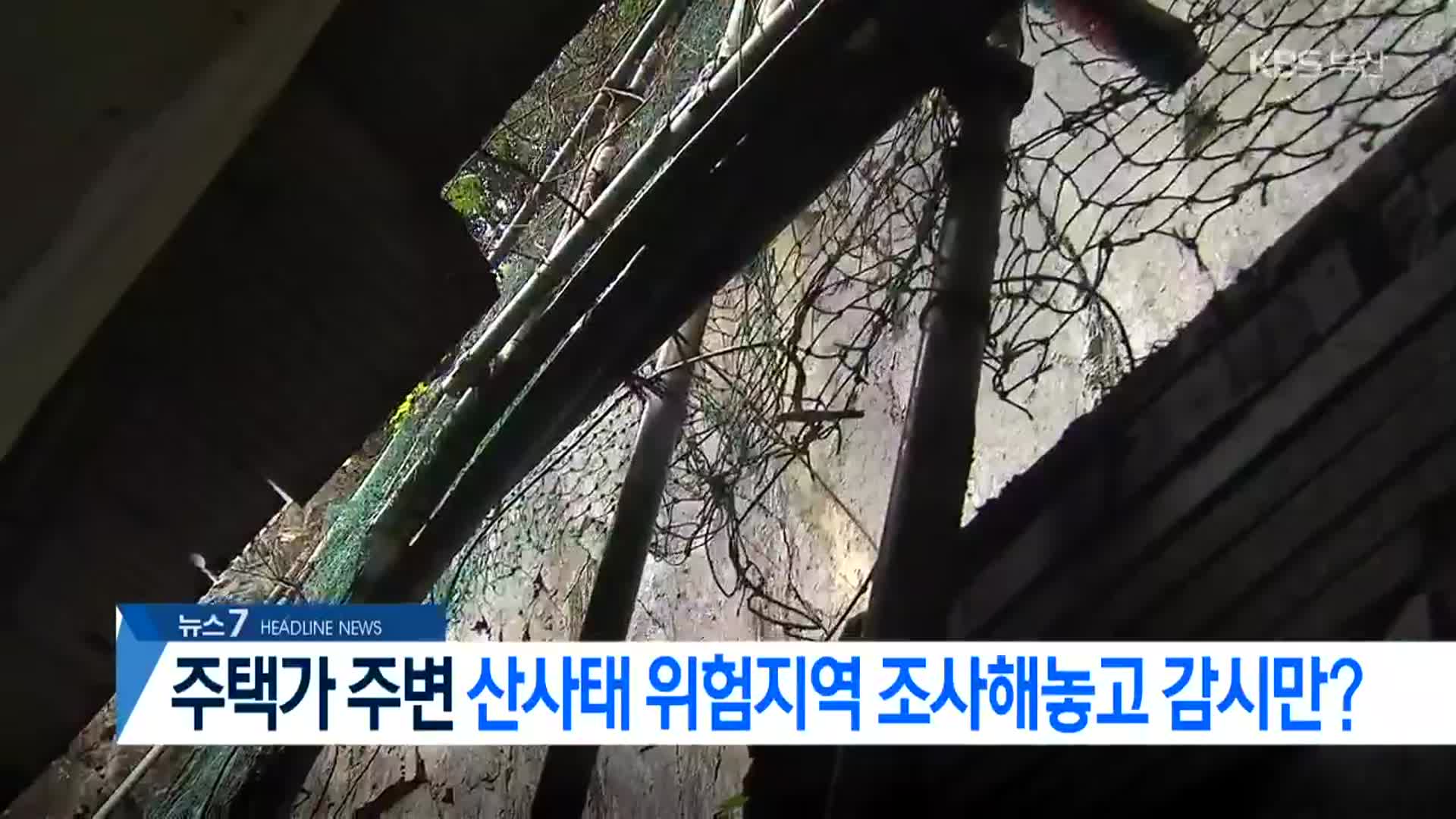 [뉴스7 부산 헤드라인]