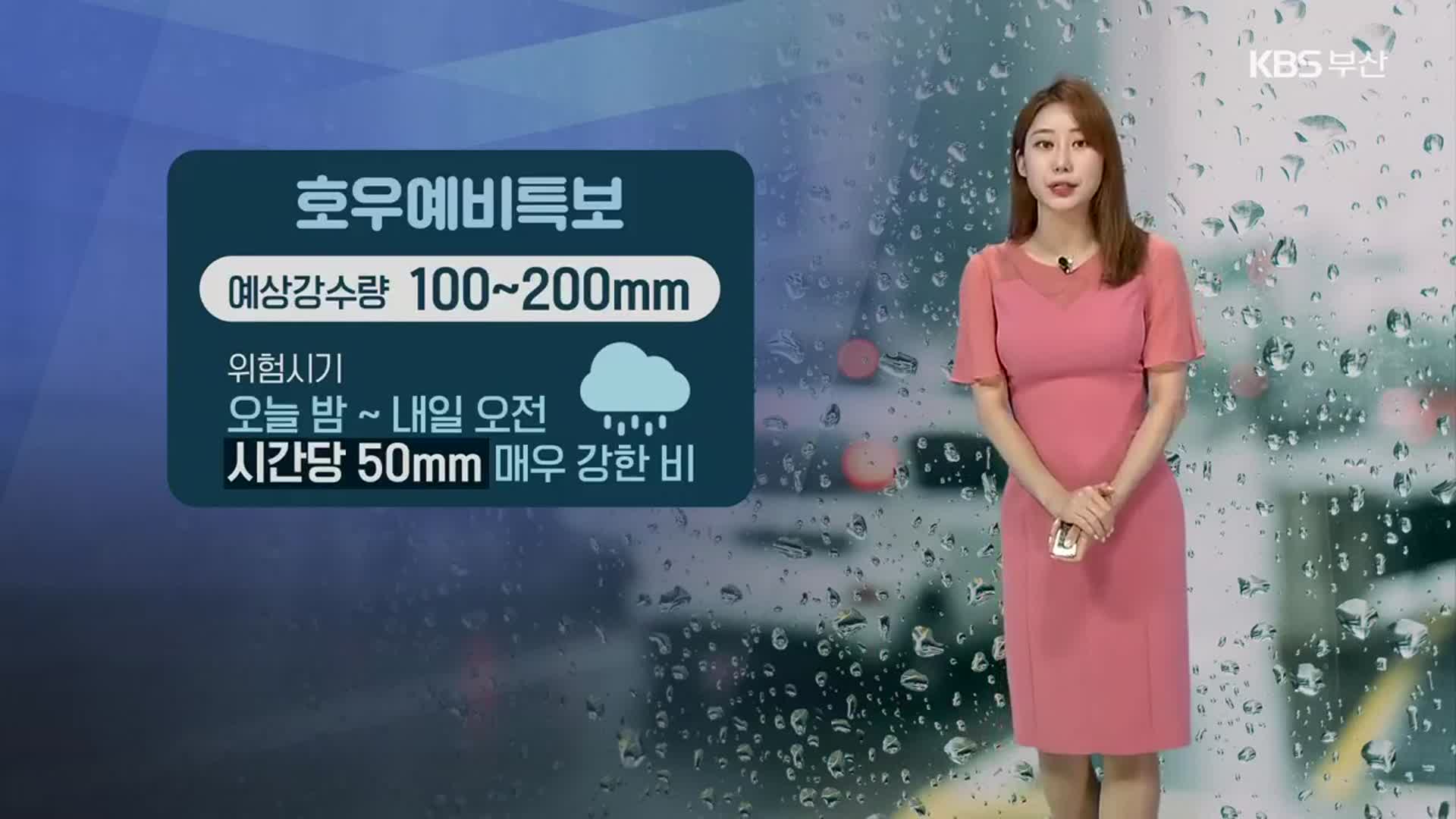 [날씨] 부산 오늘 밤~내일 오전 시간당 50㎜ 매우 강한 비
