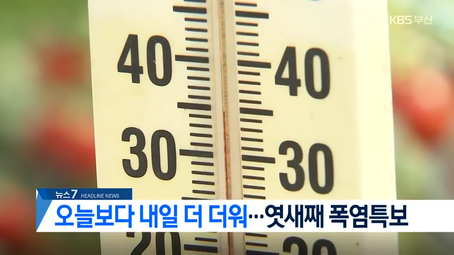 [뉴스7 부산 헤드라인]