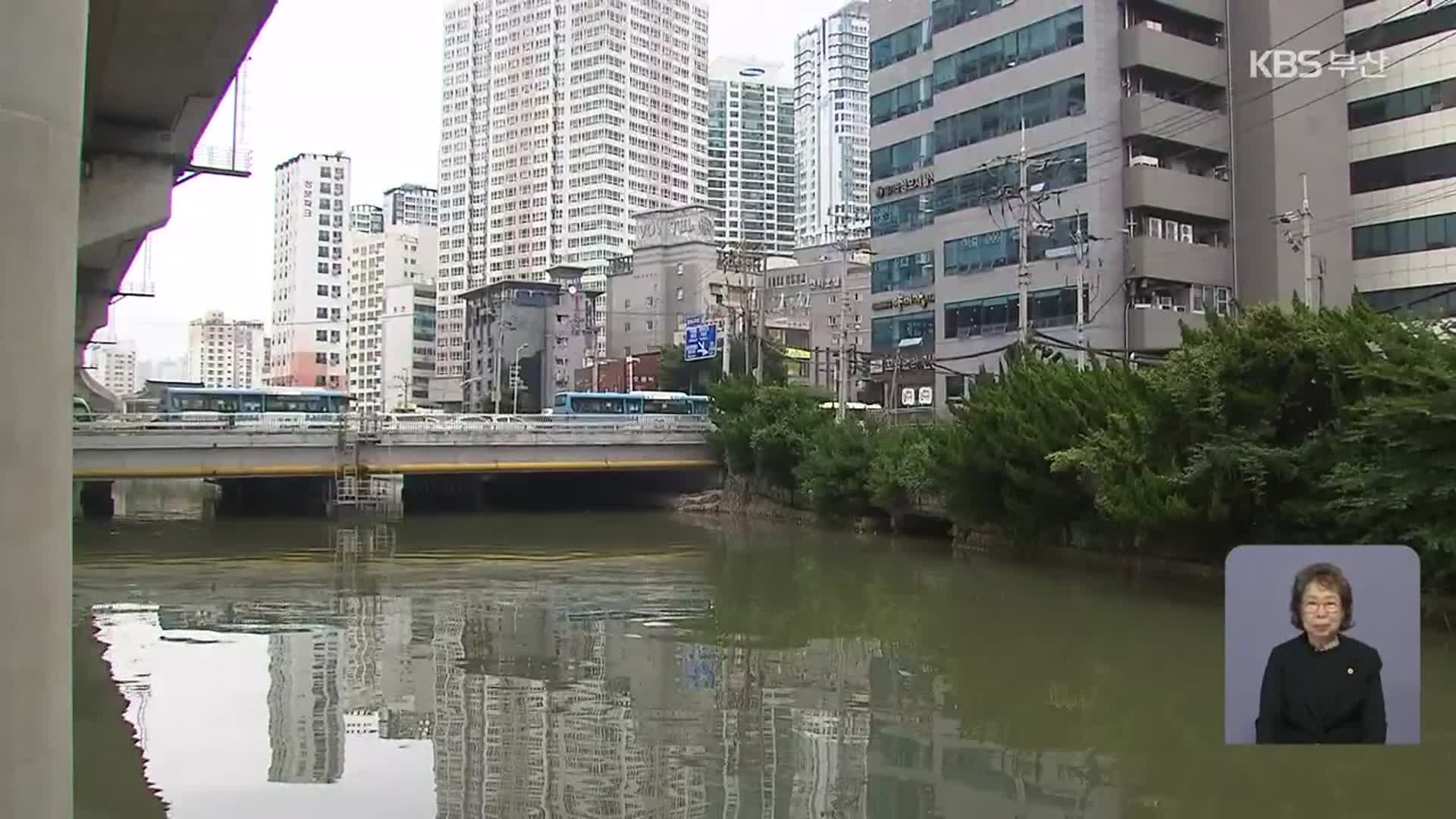 동천 펌프장·차수벽 설치…도심 통수 기능 늘려야