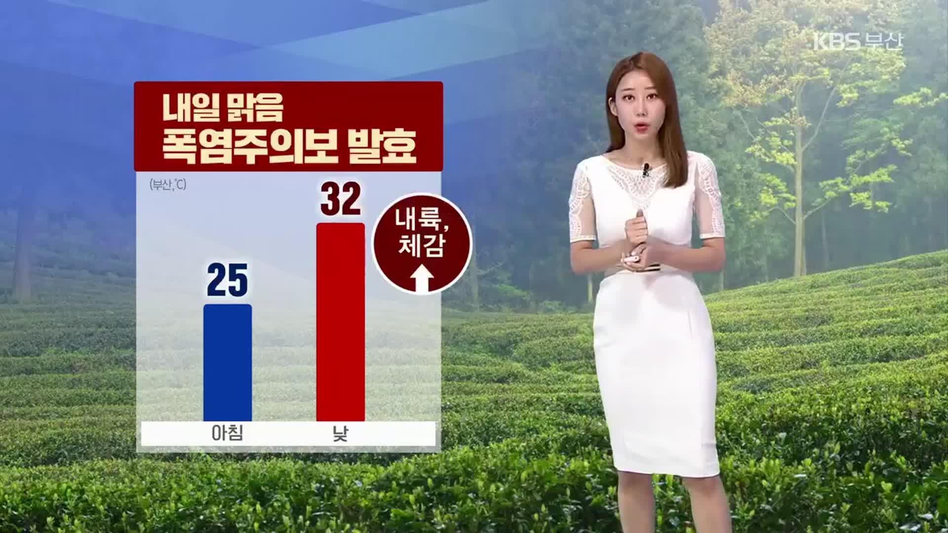 [날씨] 부산 내일 맑음, 폭염주의보 발효…아침 25도·낮 32도