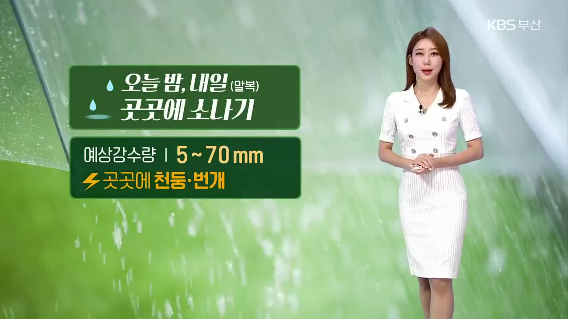 [날씨] 부산 내일까지 곳곳 소나기…경남 폭염특보 점차 완화