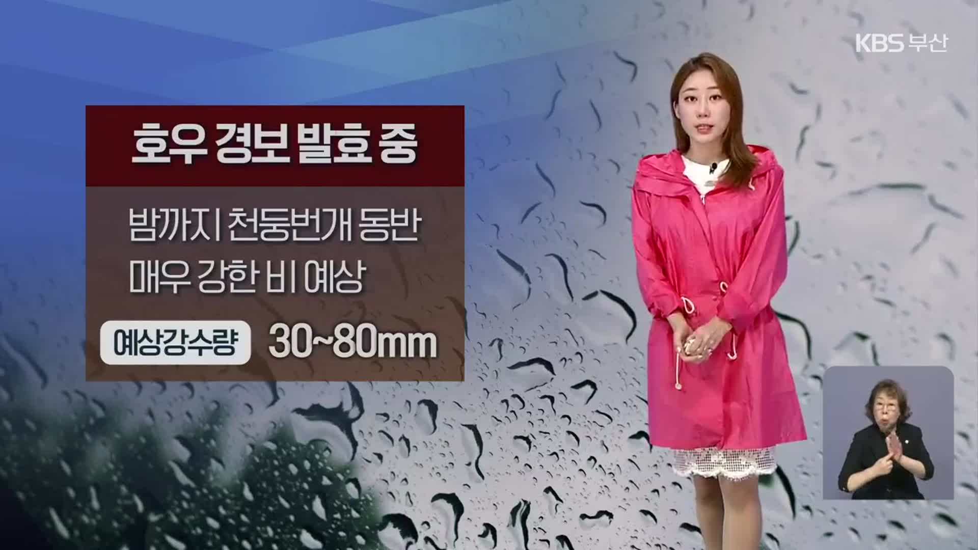 [날씨] 부산 밤까지 최고 80mm 집중호우…침수·산사태 주의