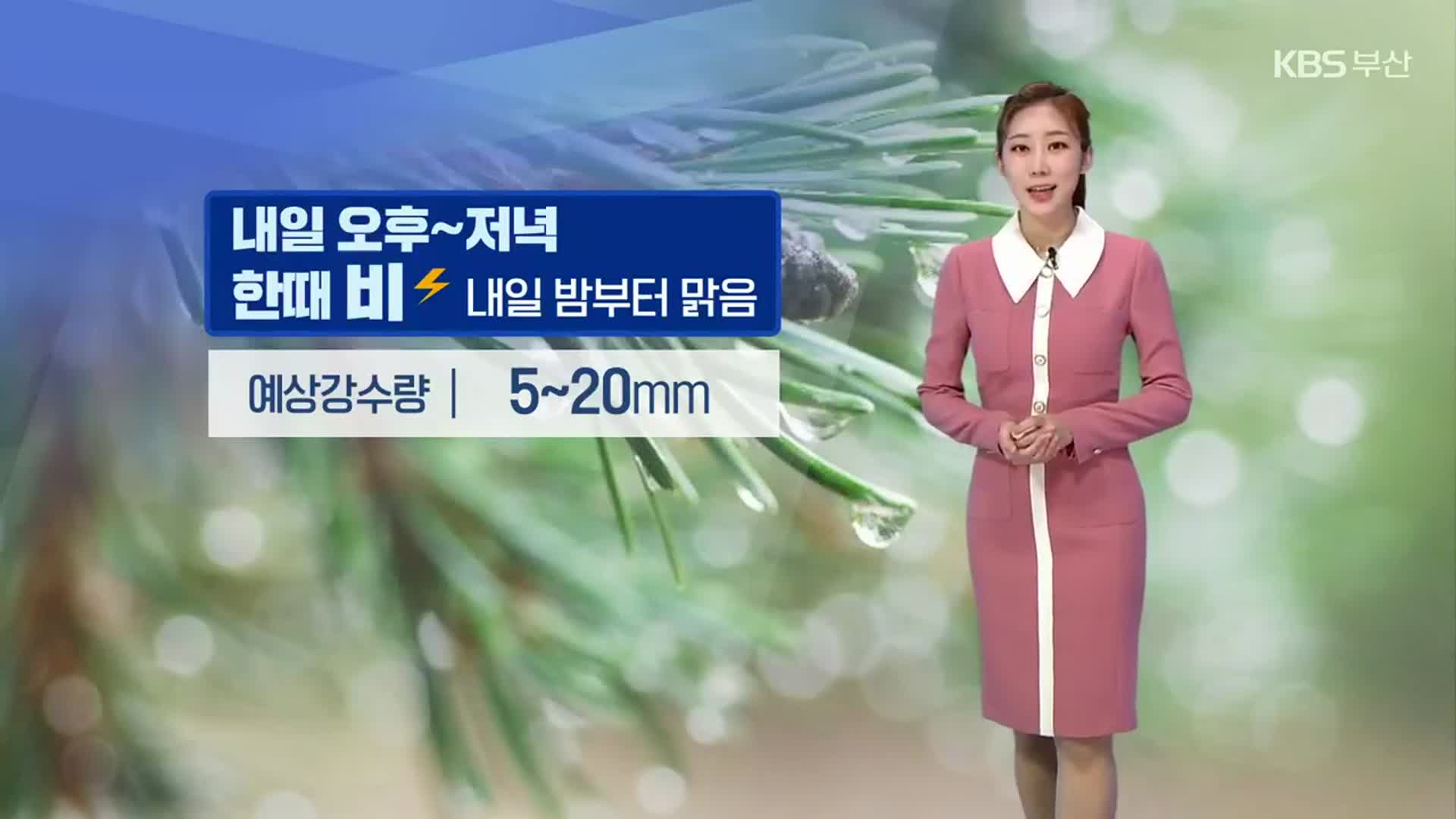 [날씨] 부산 내일 오후~저녁 한때 천둥·번개 동반 5~20mm 비