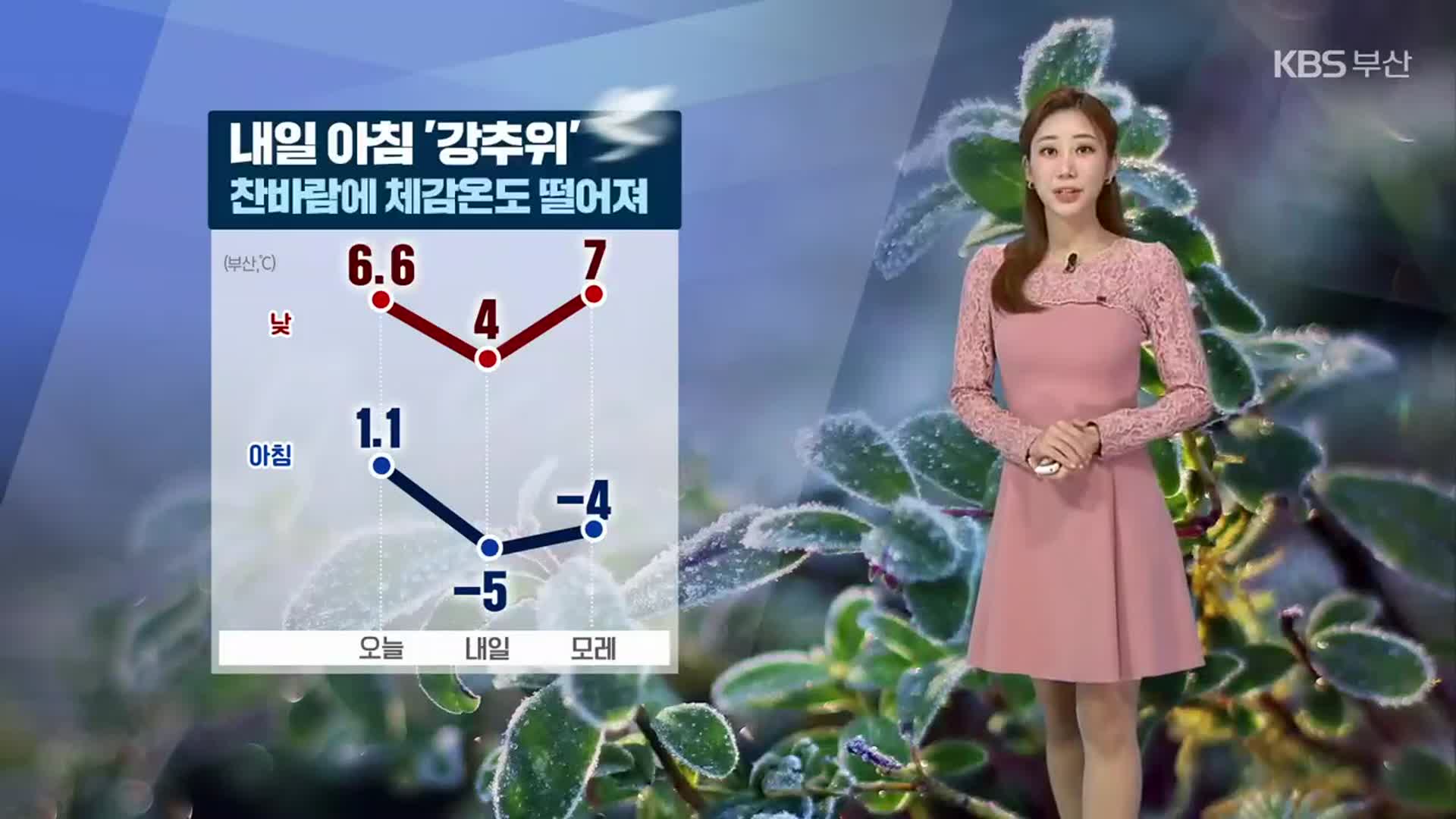 [날씨] 부산 내일 아침 ‘강추위’…찬바람·체감온도↓