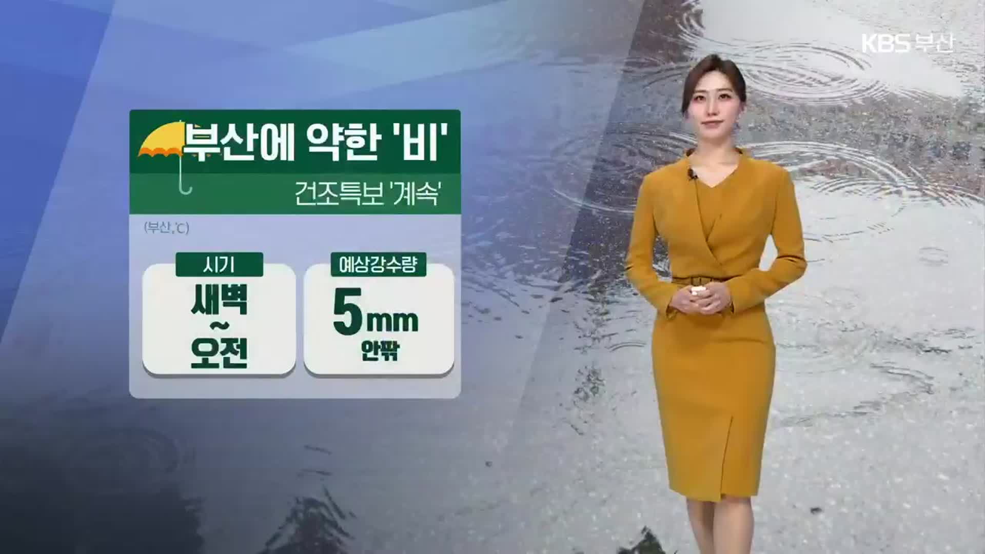 [날씨] 부산 내일 새벽부터 약한 비…부·울·경 건조특보 계속