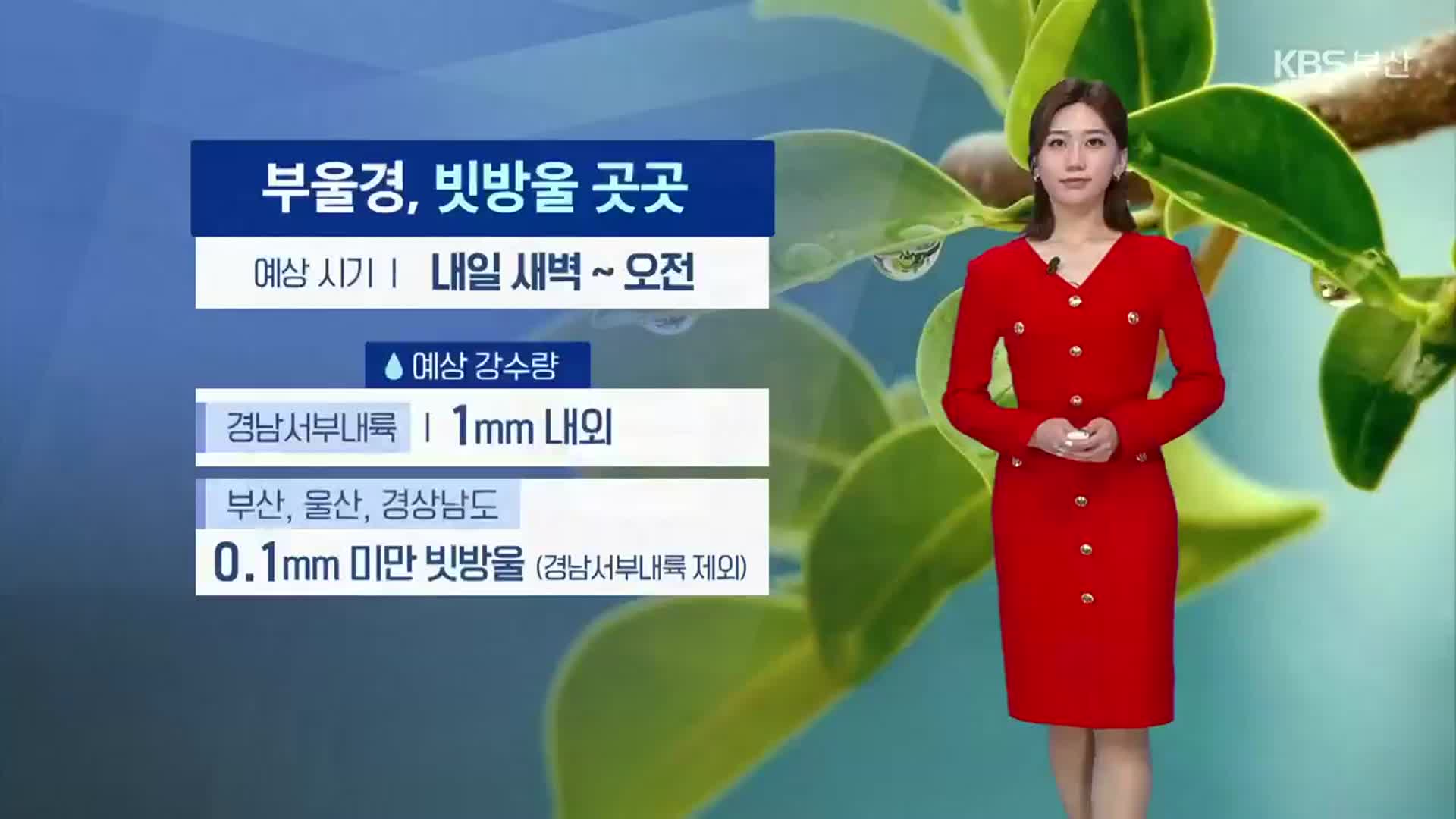 [날씨] 부산 내일 새벽 빗방울…한낮 18~21도, 큰 일교차 주의