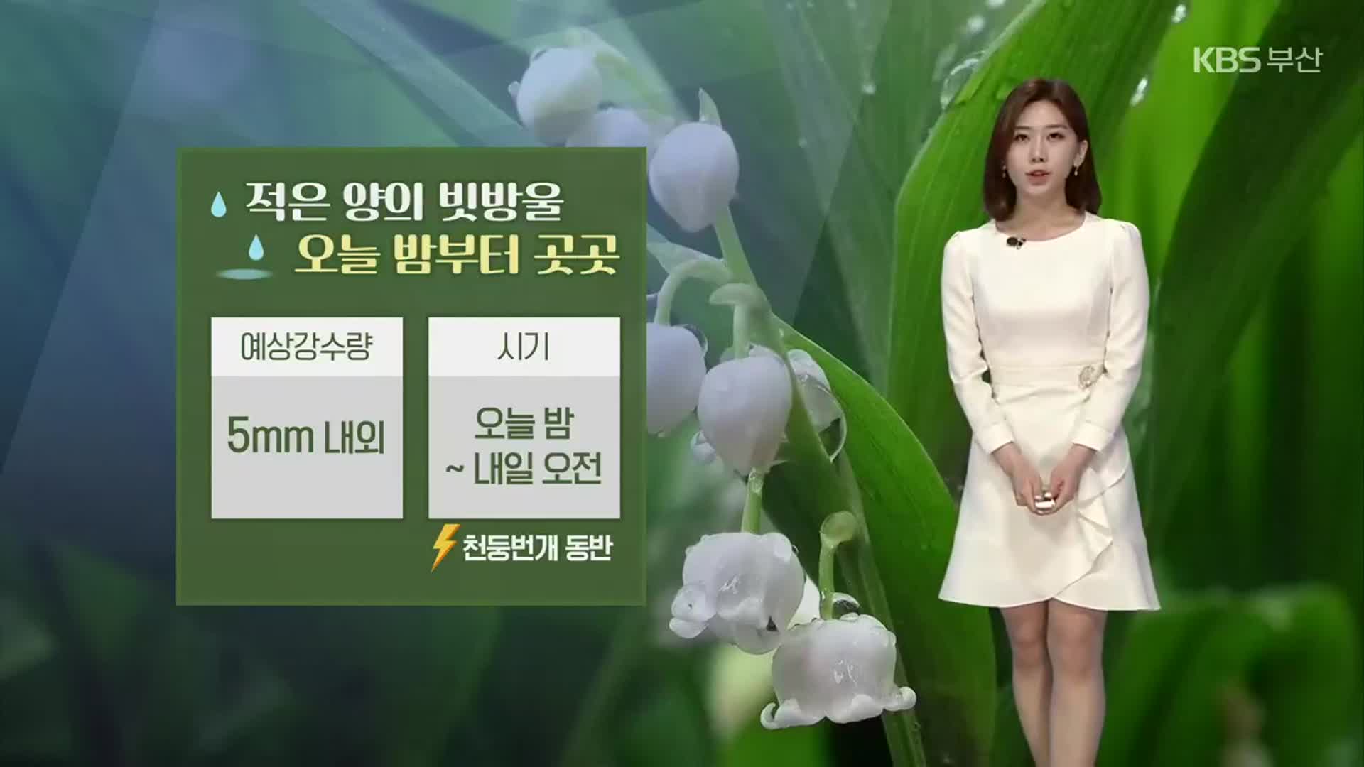 [날씨] 부산 오늘 밤부터 곳곳 비소식…내일도 찬바람 계속