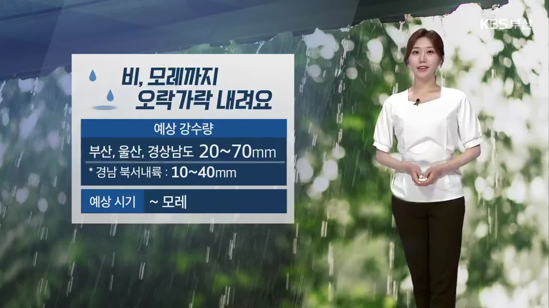 [날씨] 부산 모레까지 ‘비’…해안가 강풍 주의