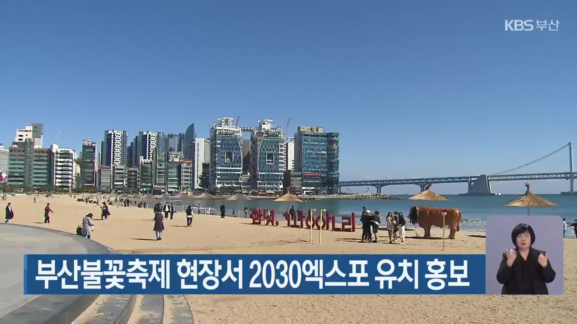 부산불꽃축제 현장서 2030엑스포 유치 홍보