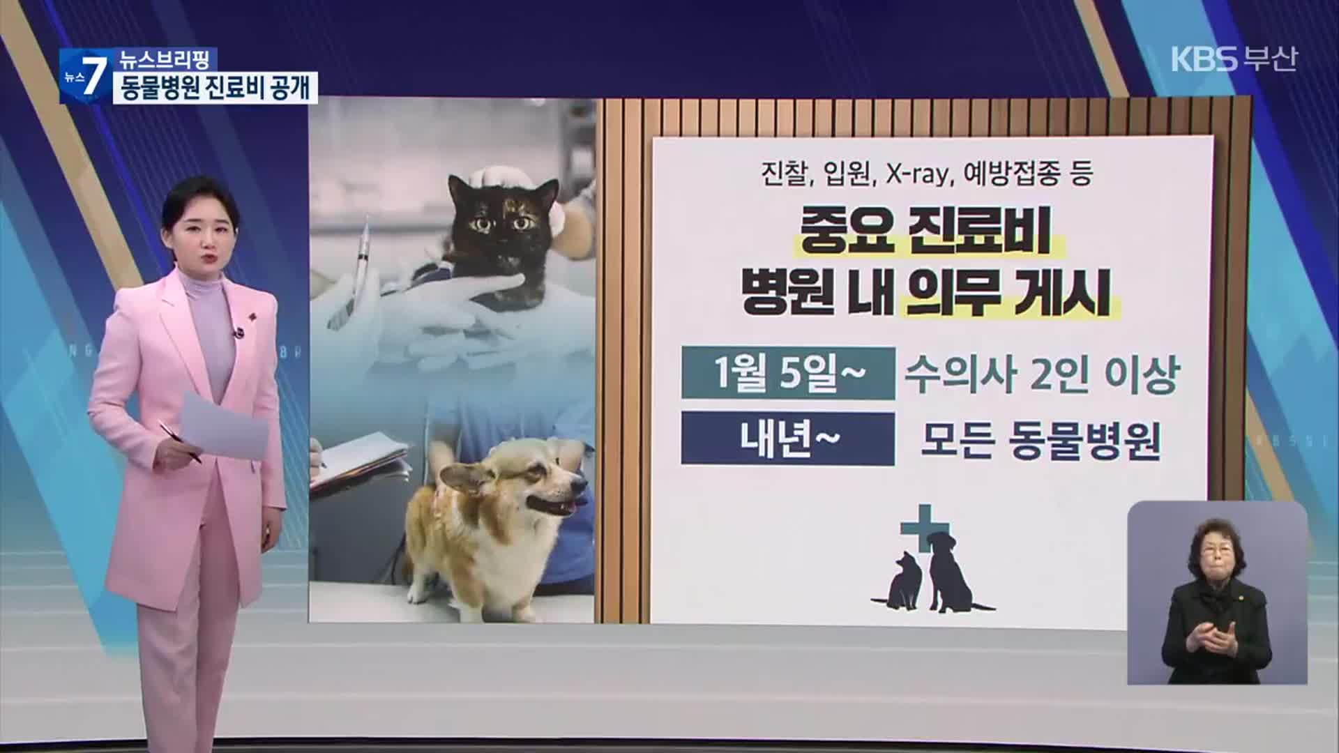 반려동물 연 12만 마리 유기…진료비 공개 시작