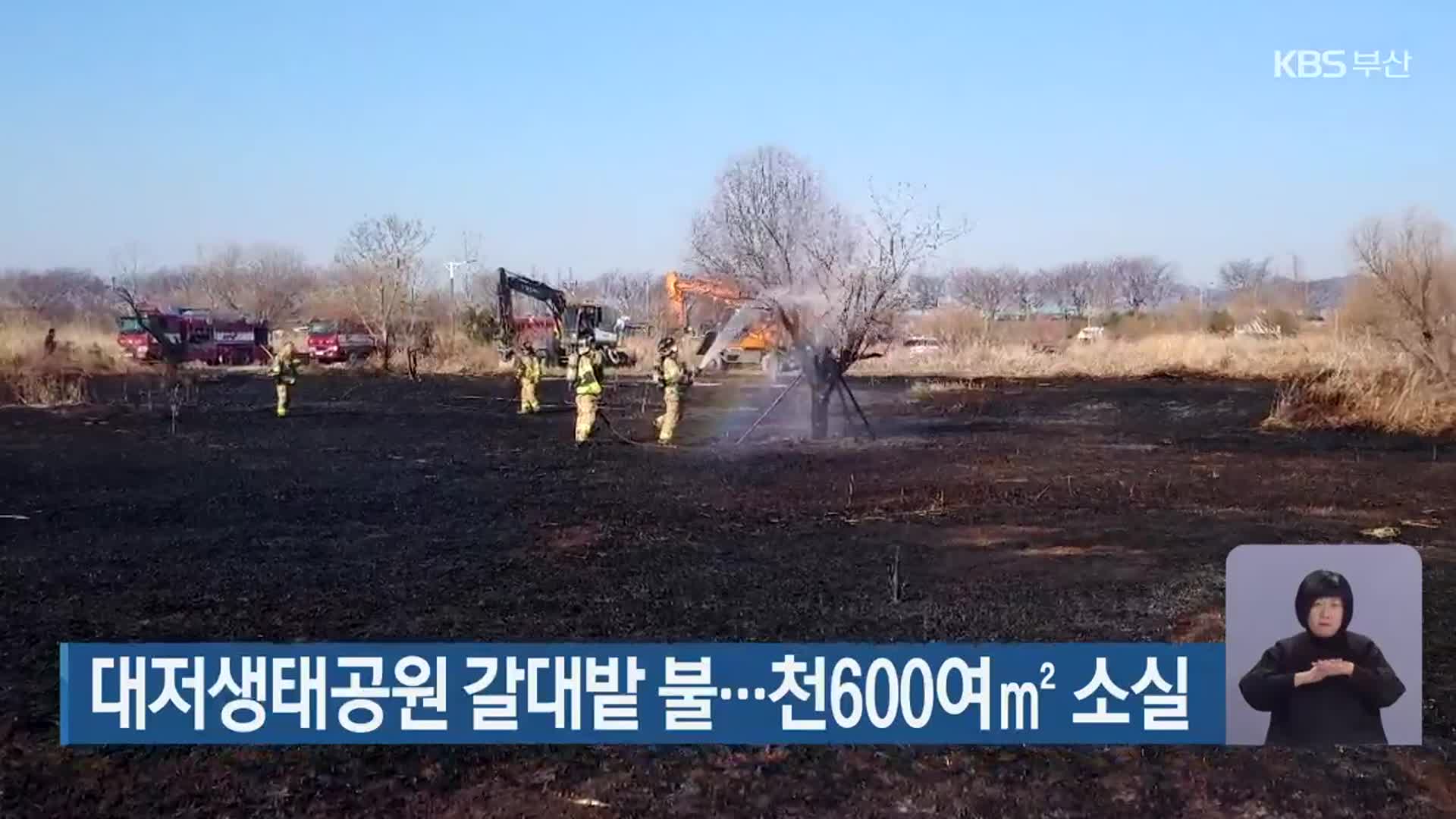 부산 대저생태공원 갈대밭 불…천600여㎡ 소실