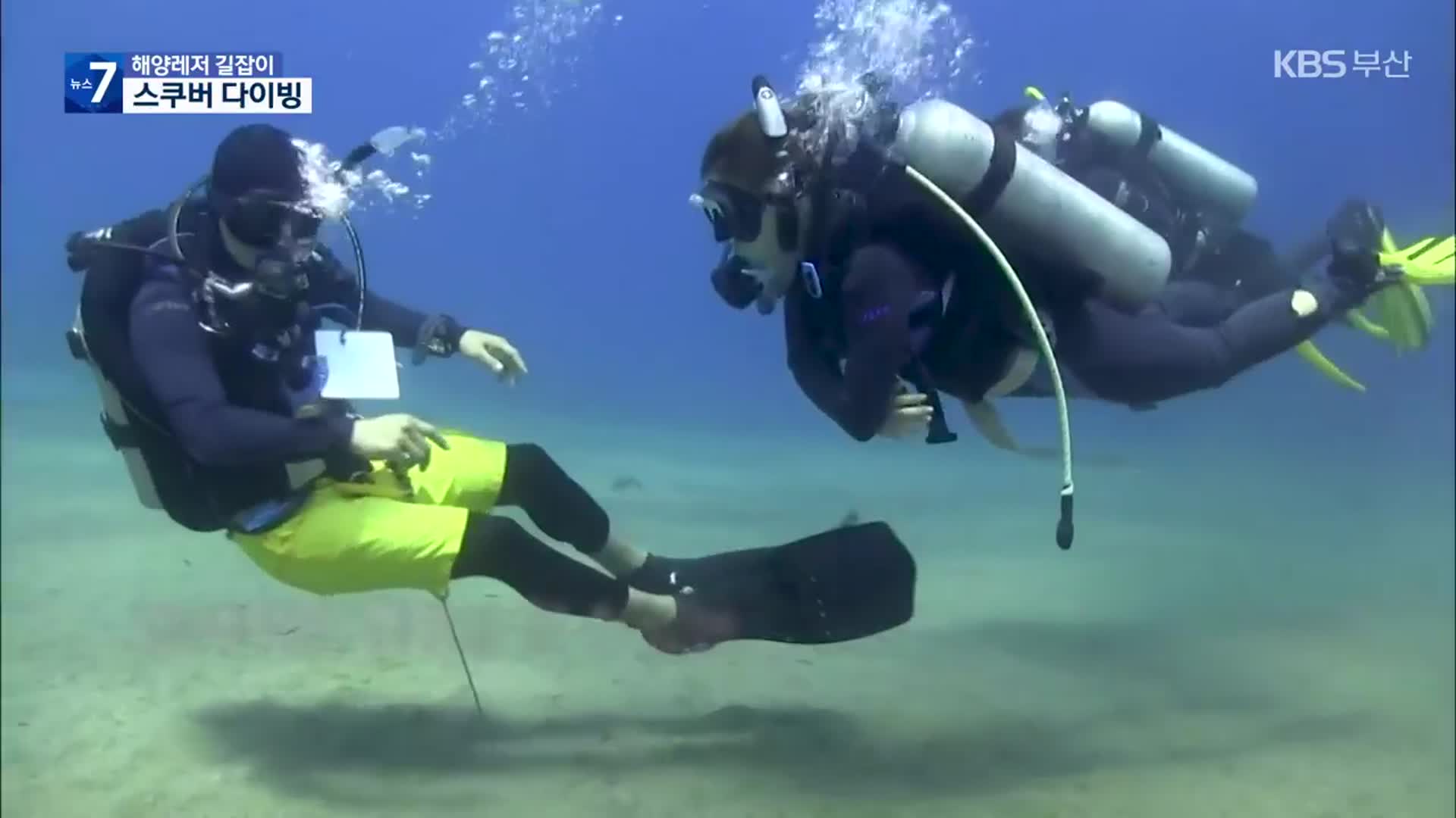 [해양 안전 길잡이] 안전한 스쿠버 다이빙, 이것만큼은 꼭!