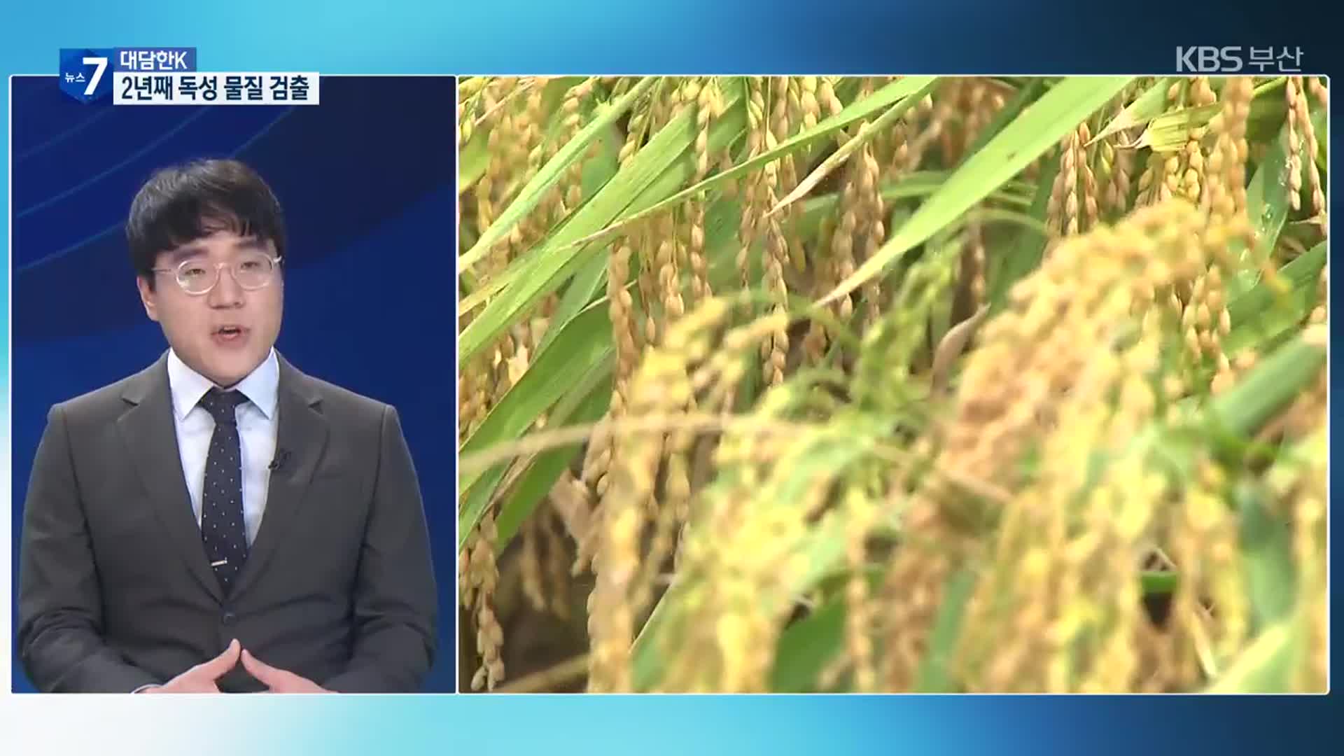 [대담한K] 낙동강 유역 쌀 2년째 독성 검출…안전한 물 대안은?