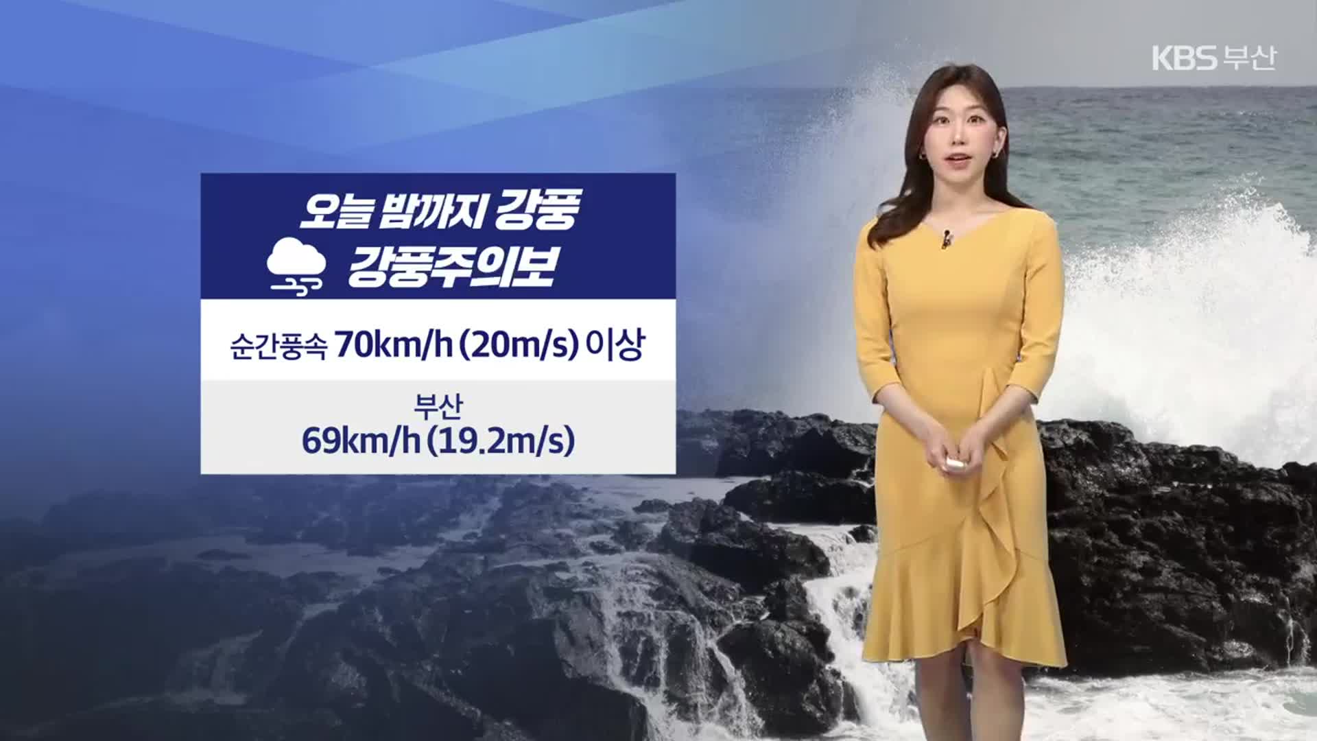 [날씨] 부산 밤까지 강풍 동반 비…내일 미세먼지 ‘매우 나쁨’