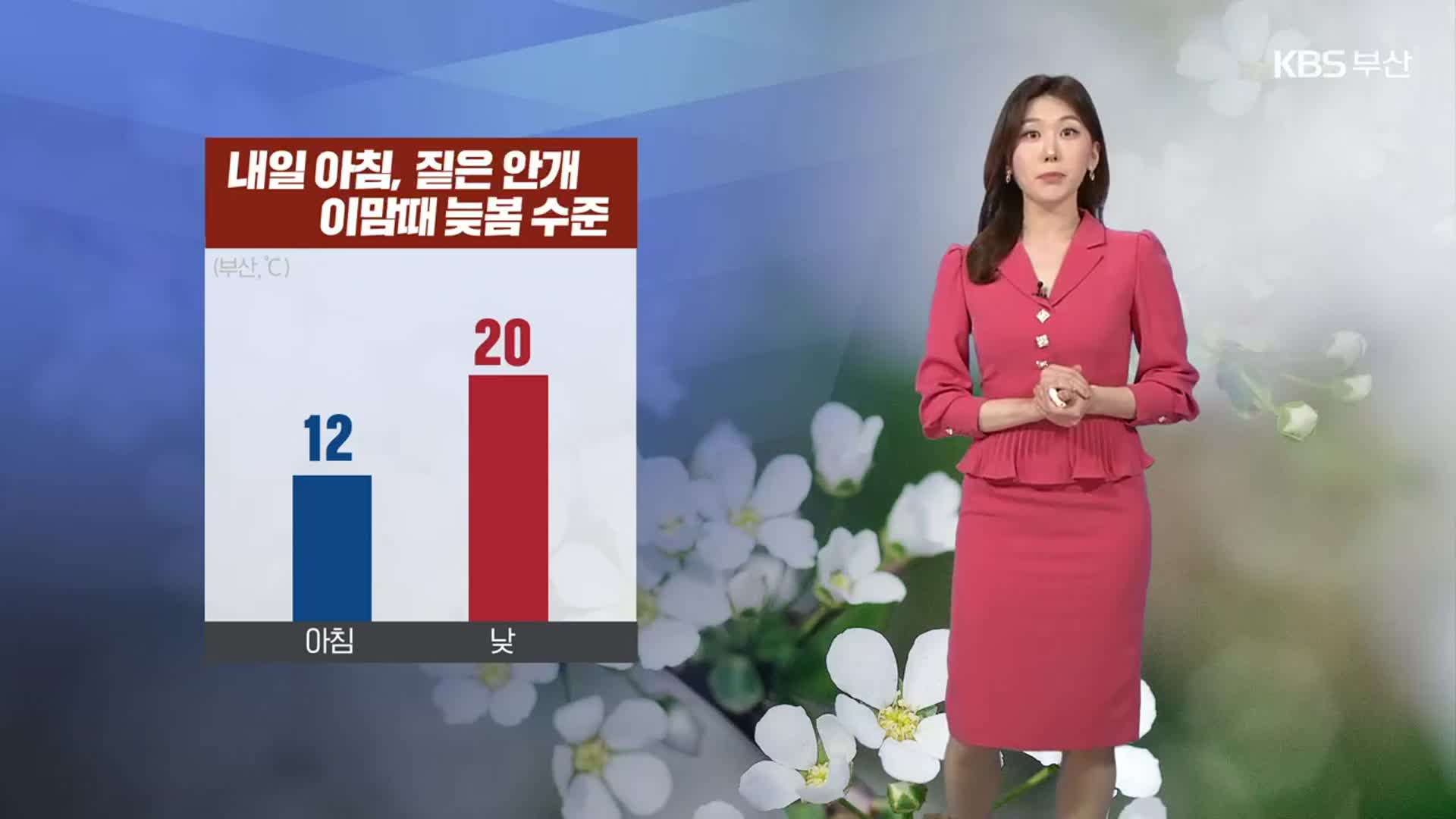 [날씨] 부산 내일 아침, 짙은 안개…아침 12도·낮 20도 ‘일교차 유의’