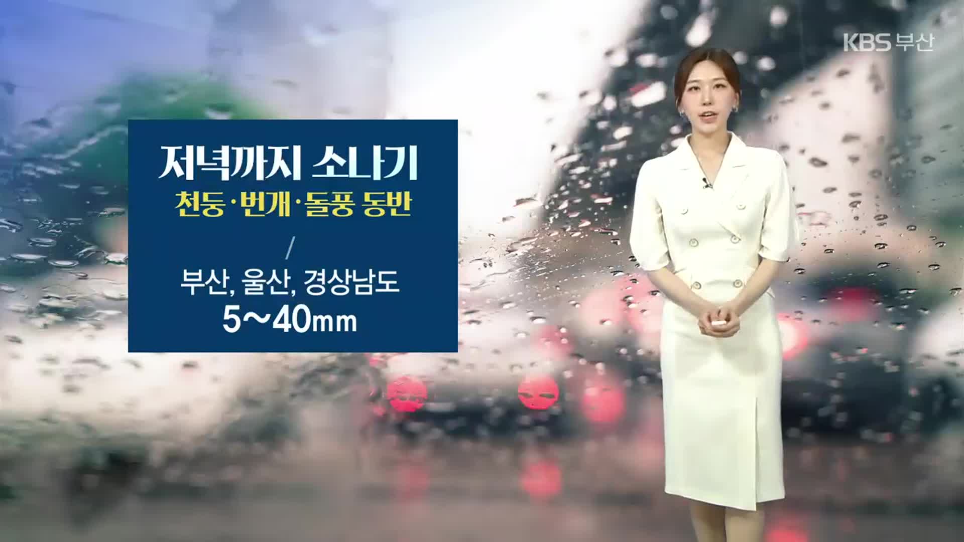 [날씨] 부산 저녁까지 소나기…내일 무더위 찾아와