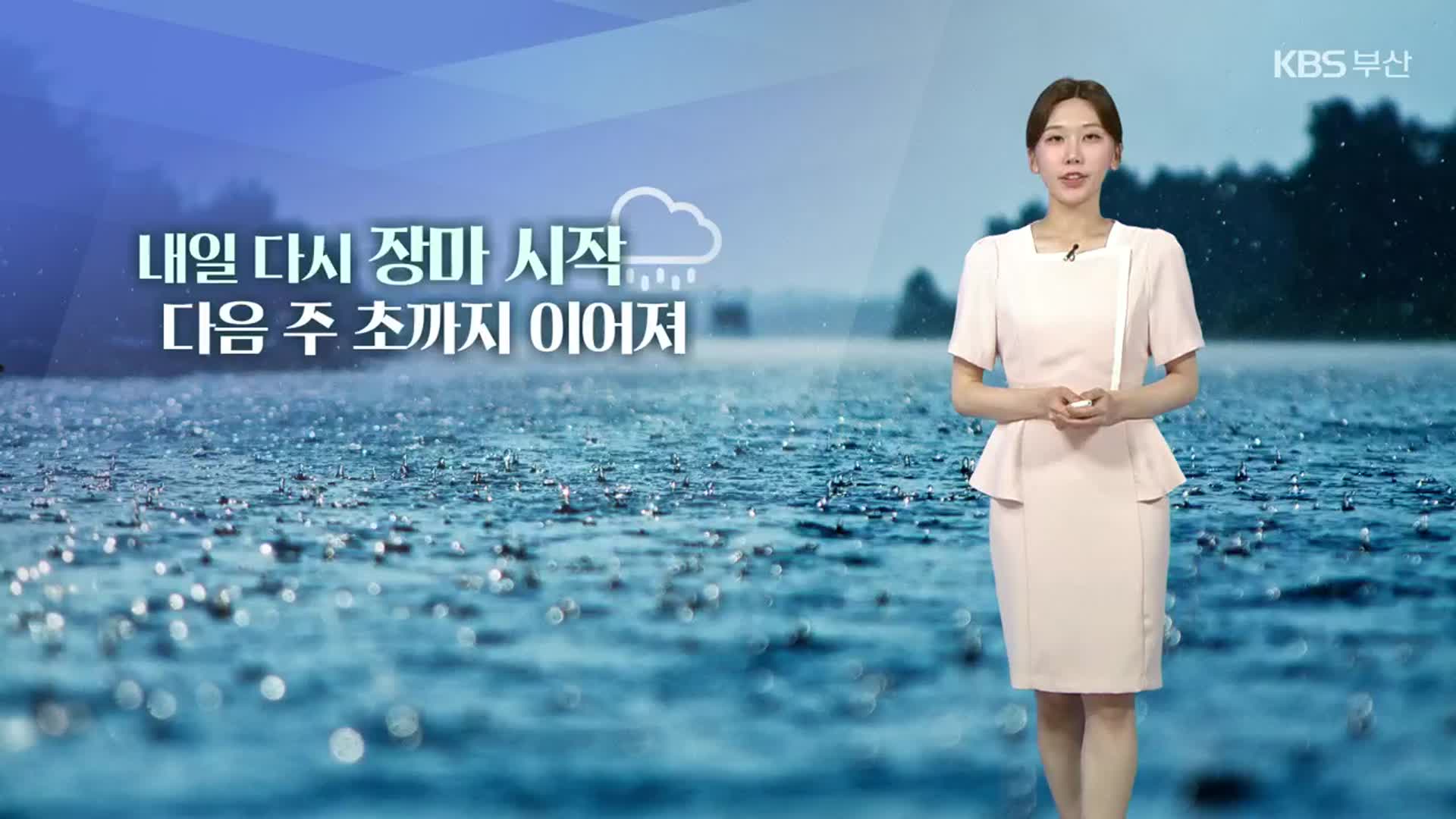 [날씨] 부산 내일 다시 장마 시작…다음 주 초까지 이어져