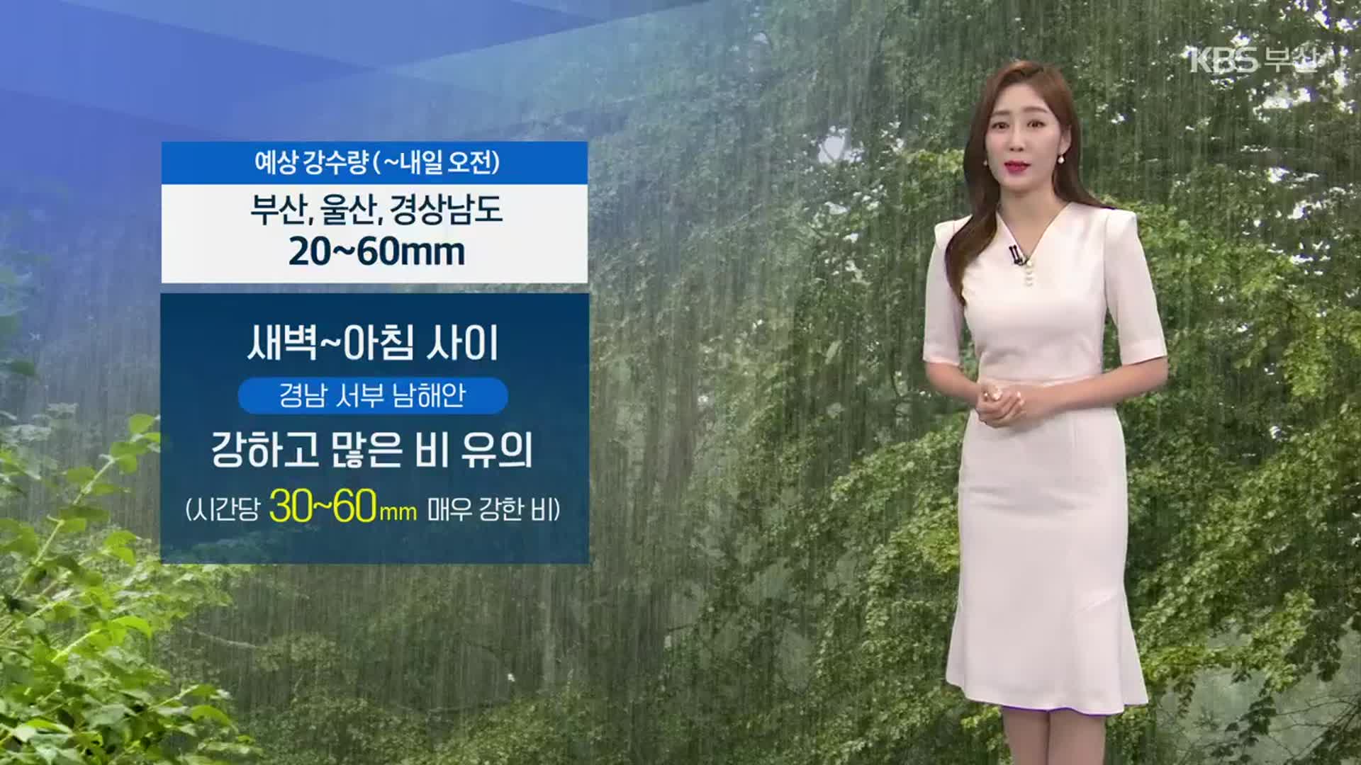 [날씨] 부산 내일 오전까지 장맛비…부·울·경 예상 강수량 20~60mm