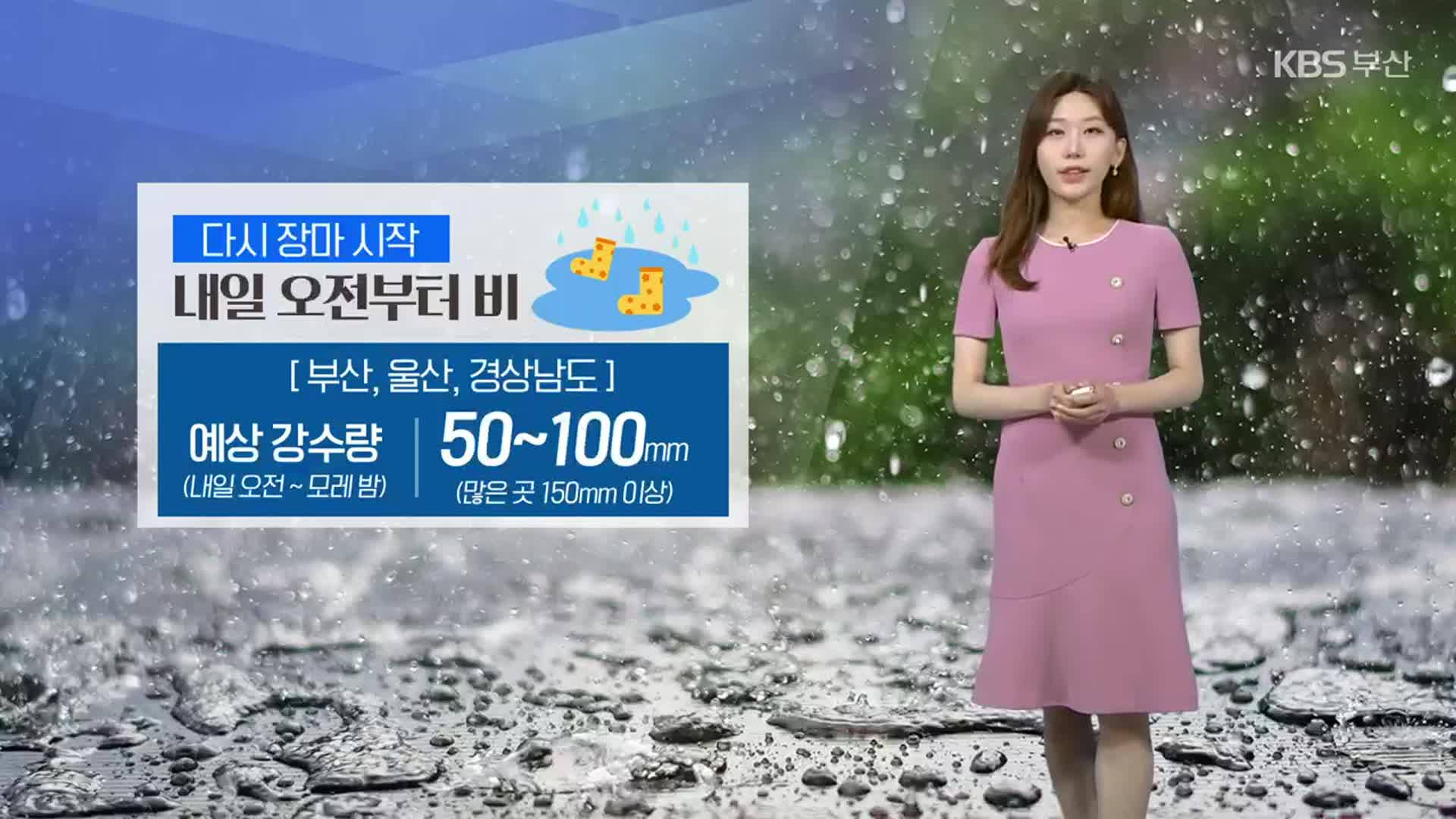 [날씨] 부산 내일 오전부터 다시 장맛비…무더위 주춤