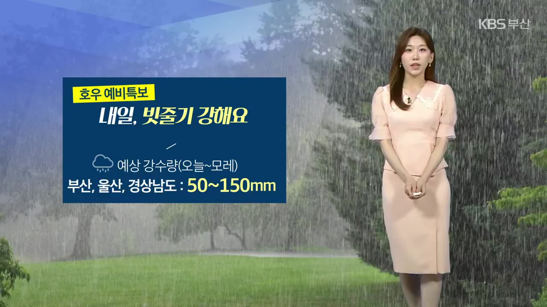 [날씨] 부산 호우 예비특보…“내일 빗줄기 강해요”