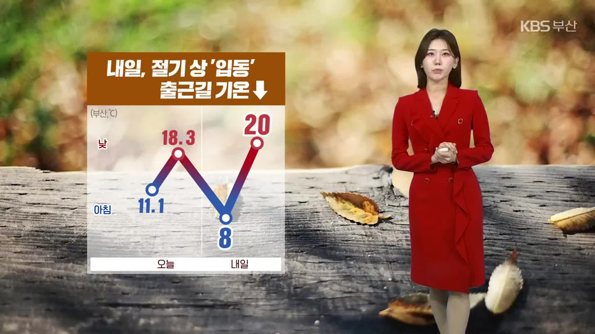 [날씨] 내일 절기상 ‘입동’, 부산 출근길 기온↓…아침 8도, 체감 더 추워